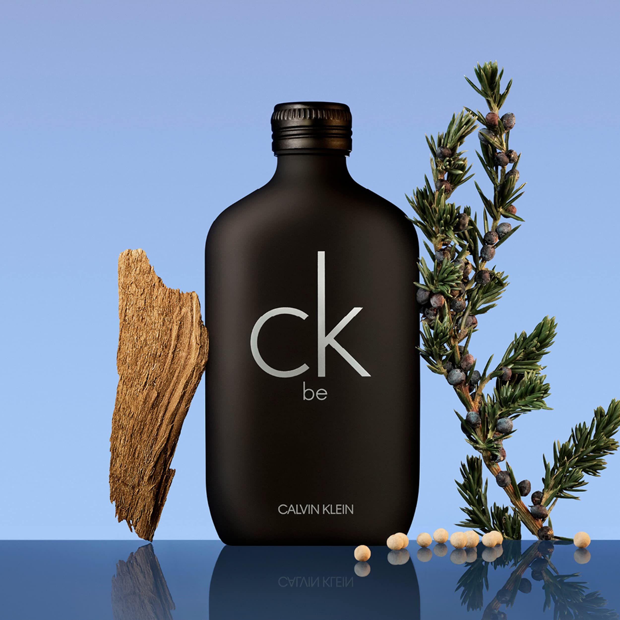 Flacon noir de Calvin Klein CK Be Eau de Toilette avec bois et branche. Inscription : ck be, Calvin Klein.