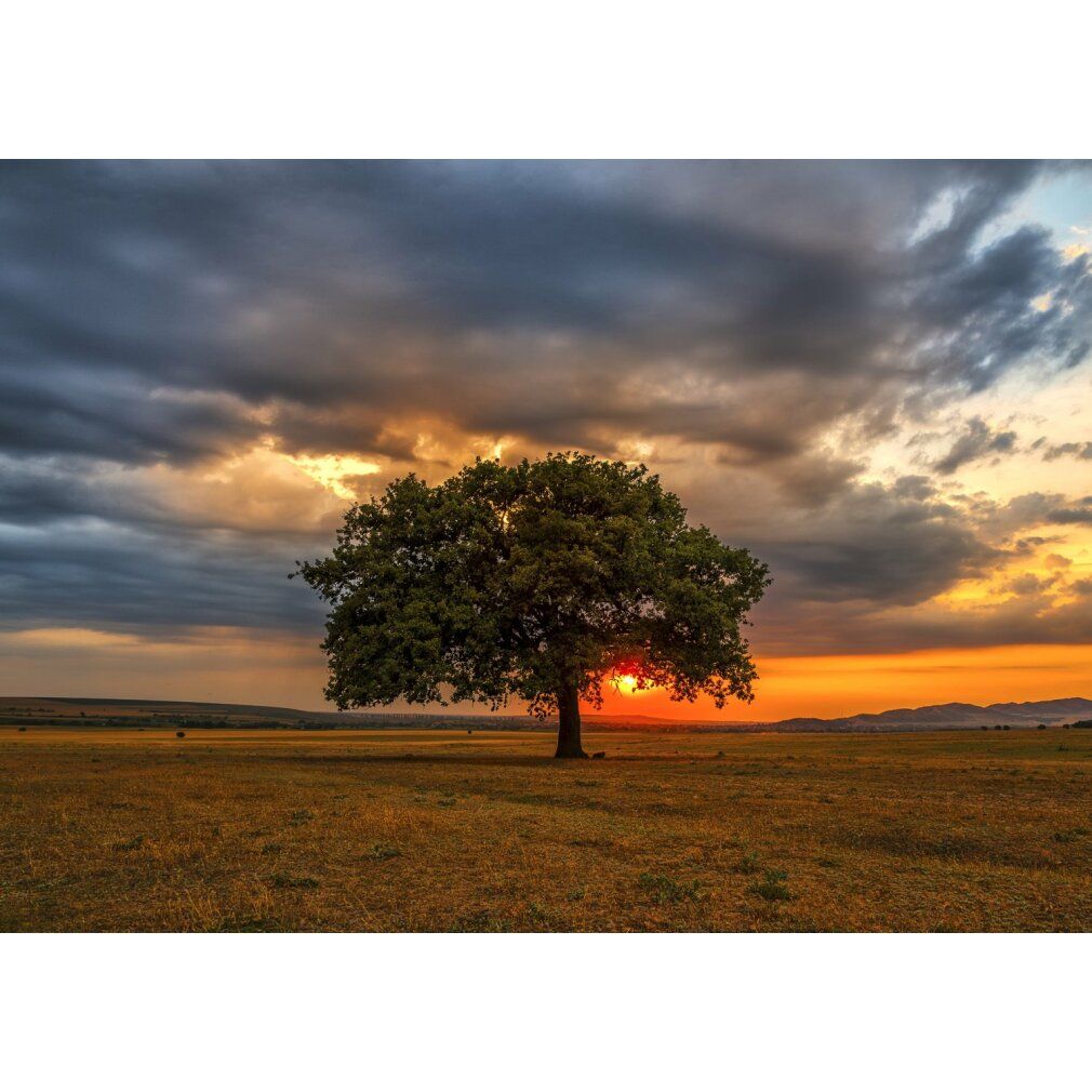 enjoy Twilight Puzzel 1000 stuks