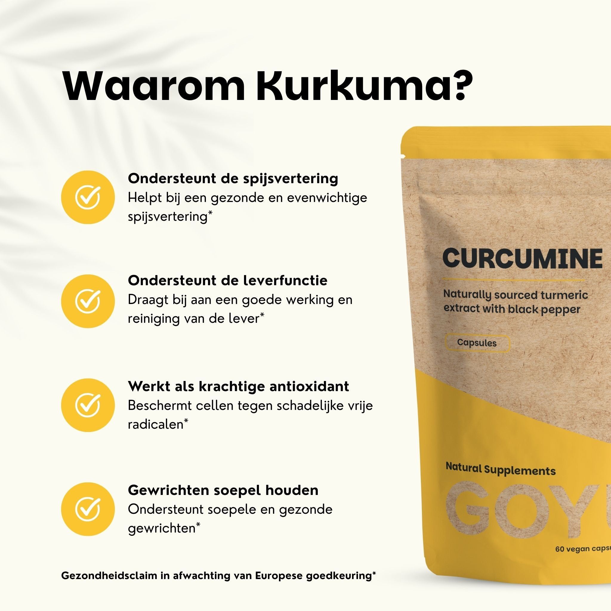 Bruine zak met kurkuma-extractcapsules. 95% curcumine. 60 capsules.