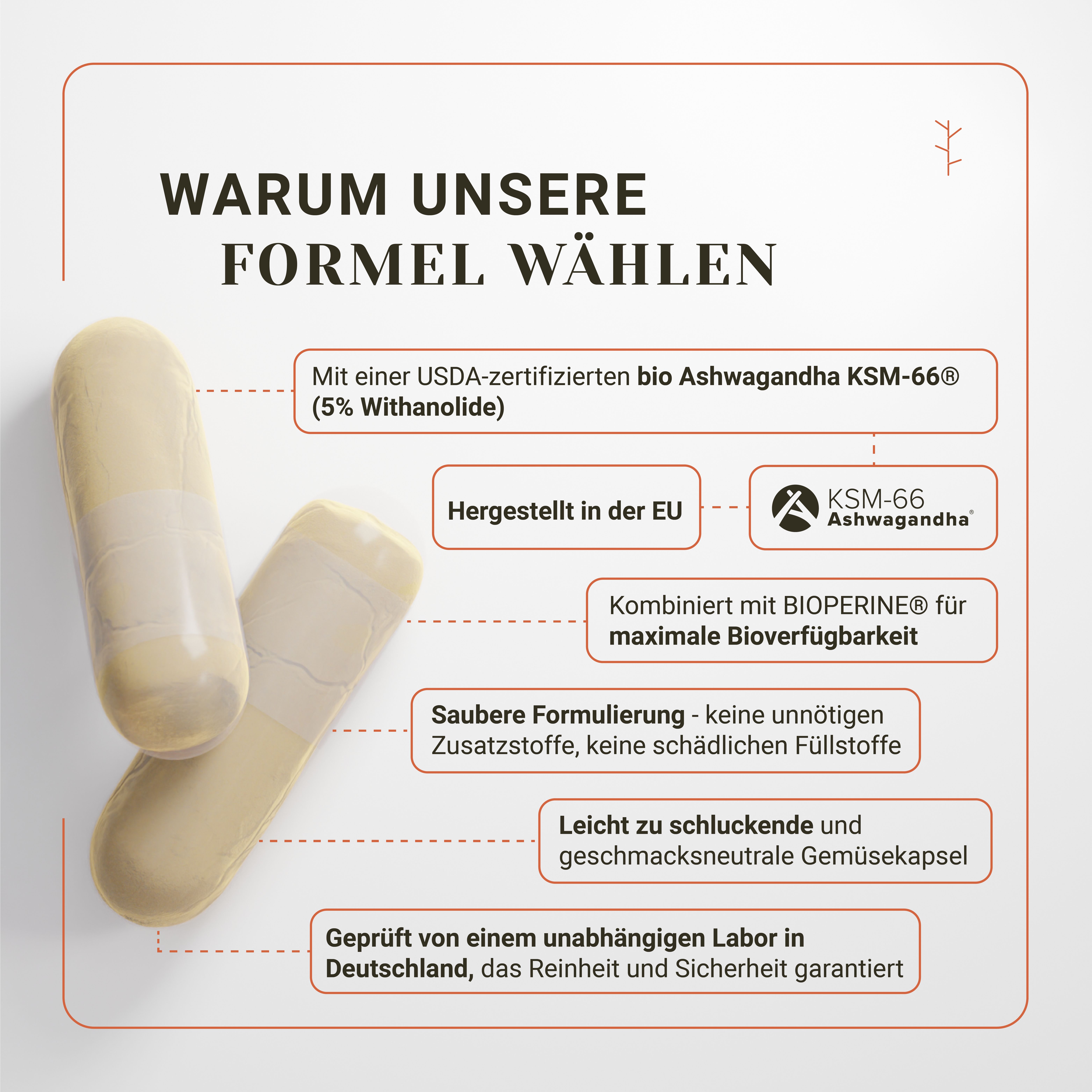 Deux gélules couleur crème, dont une légèrement transparente. Le texte souligne l'Ashwagandha KSM-66 bio certifié USDA.