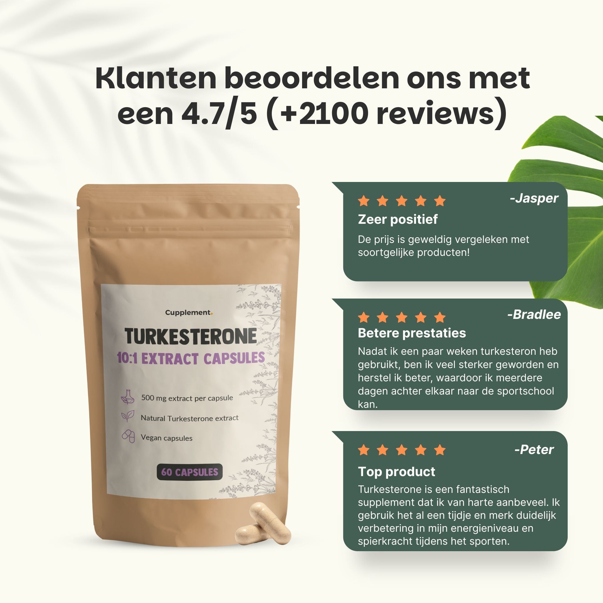 Zakje met capsules. Opschrift: Turkesterone 10:1 Extract Capsules. 60 capsules. 500 mg extract per capsule. Met paarse bloemen.