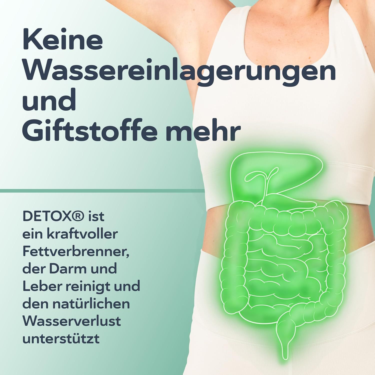 Grafiek van het spijsverteringsstelsel met gloeiende contouren. Tekst: Geen waterretentie en gifstoffen meer.