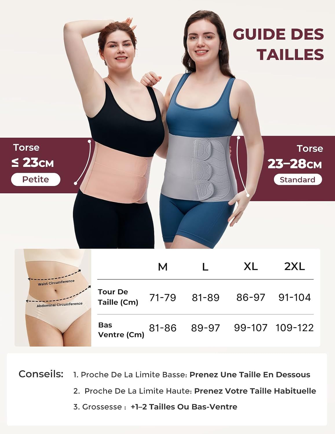 Deux femmes portant des ceintures abdominales; une rose (taille Petite, torse <= 23cm), l'autre grise (taille Standard, torse 23-28cm).