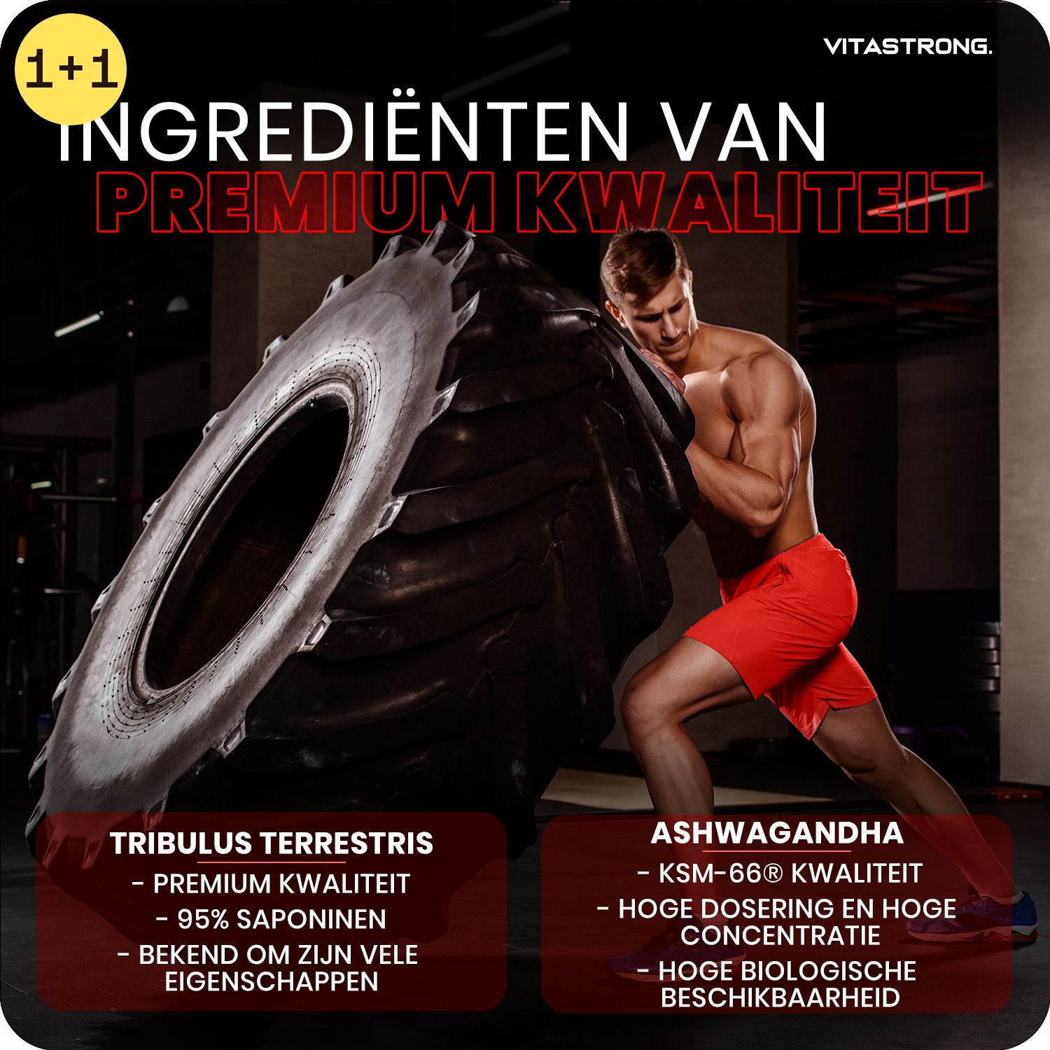 Man met band. Tekst: Ingrediënten van premium kwaliteit. Tribulus Terrestris, Ashwagandha. 1+1 aanbieding.