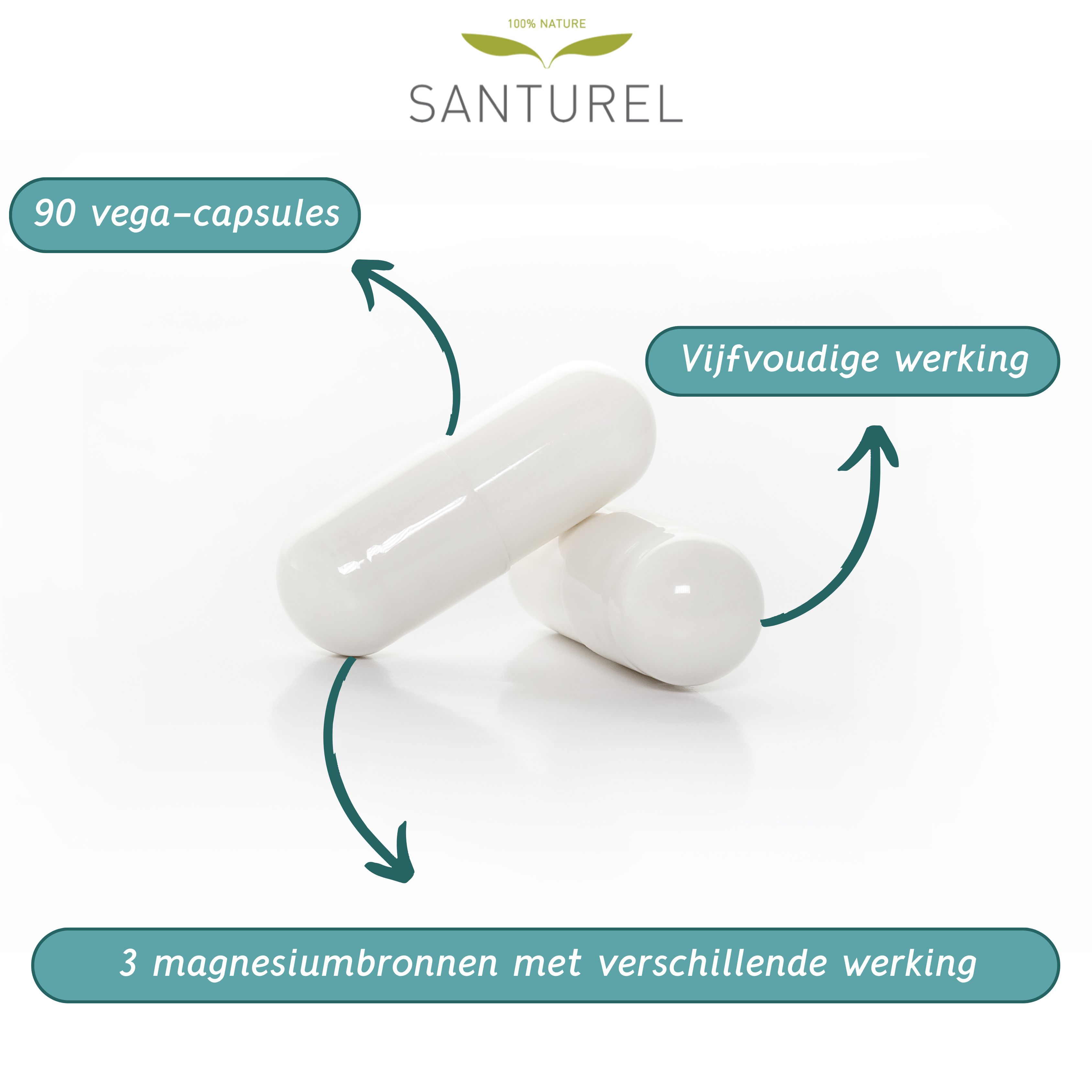 Blauwgroene tekstvelden met Nederlandse beschrijvingen. Thema's: spieren, zenuwstelsel, vermoeidheid, stress, psychologische functie, metabolisme, botten, tanden.