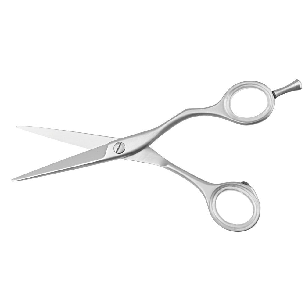 Niegeloh Solingen Ciseaux de coiffure, acier inoxydable