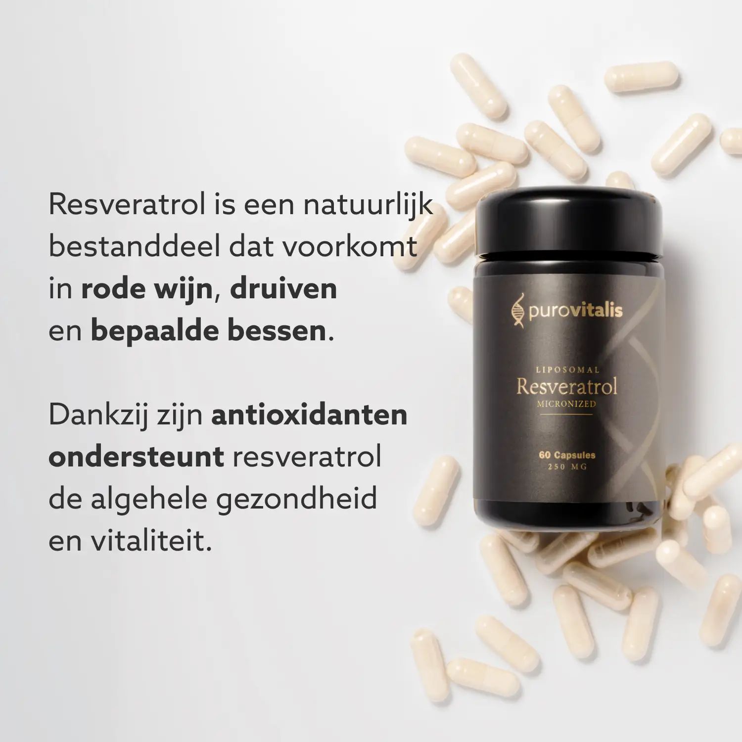 Capsules en fles met tekst: Purovitalis, Liposomaal Resveratrol, 60 capsules, 250 mg. Tekst.