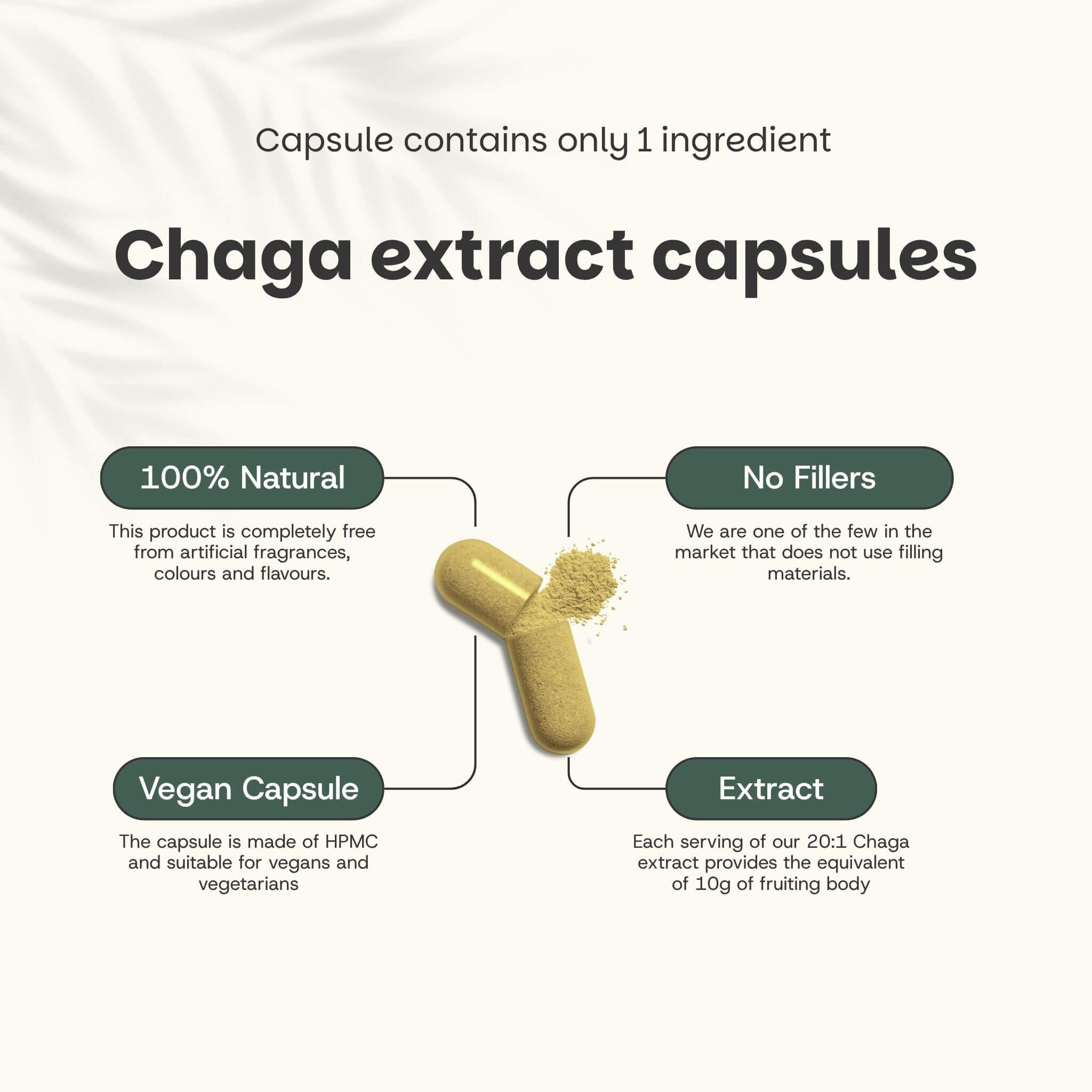 Gélule avec extrait de chaga. Texte : 100% naturel, sans agents de remplissage, gélule végétalienne, extrait.