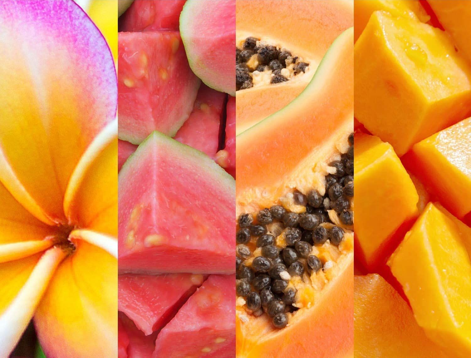 Gros plan sur quatre fruits différents : fleur jaune, goyave rose, papaye avec graines et morceaux de mangue jaune.