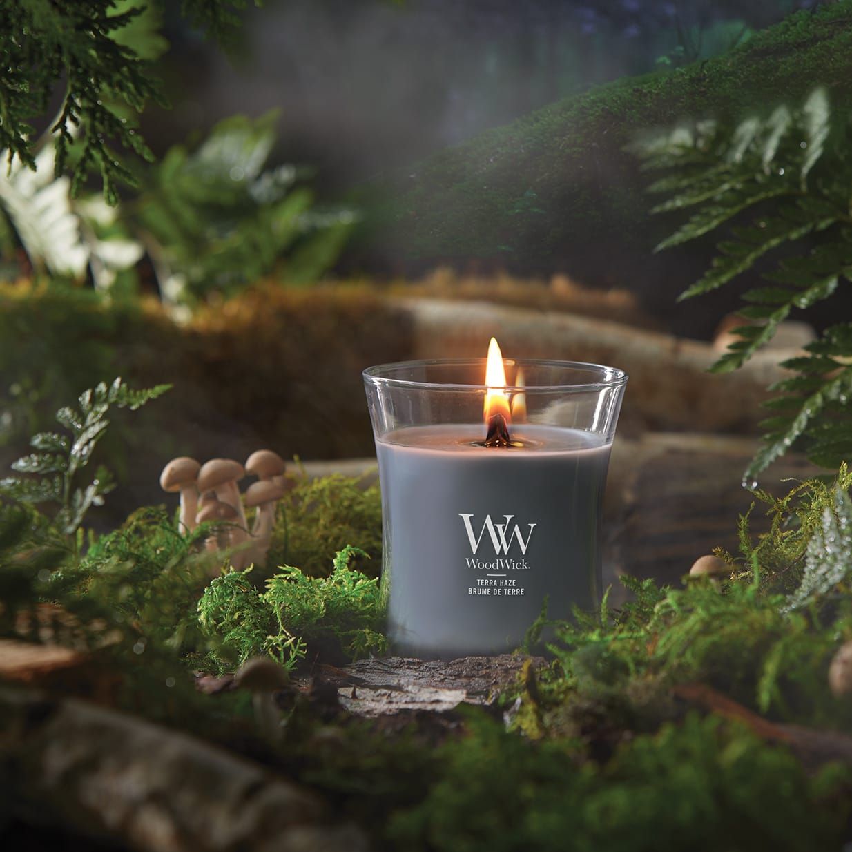 Bougie sablier grise en verre, allumée. Mèche en bois. Logo WoodWick et texte Terra Haze. Environnement : mousse, champignons, branches.