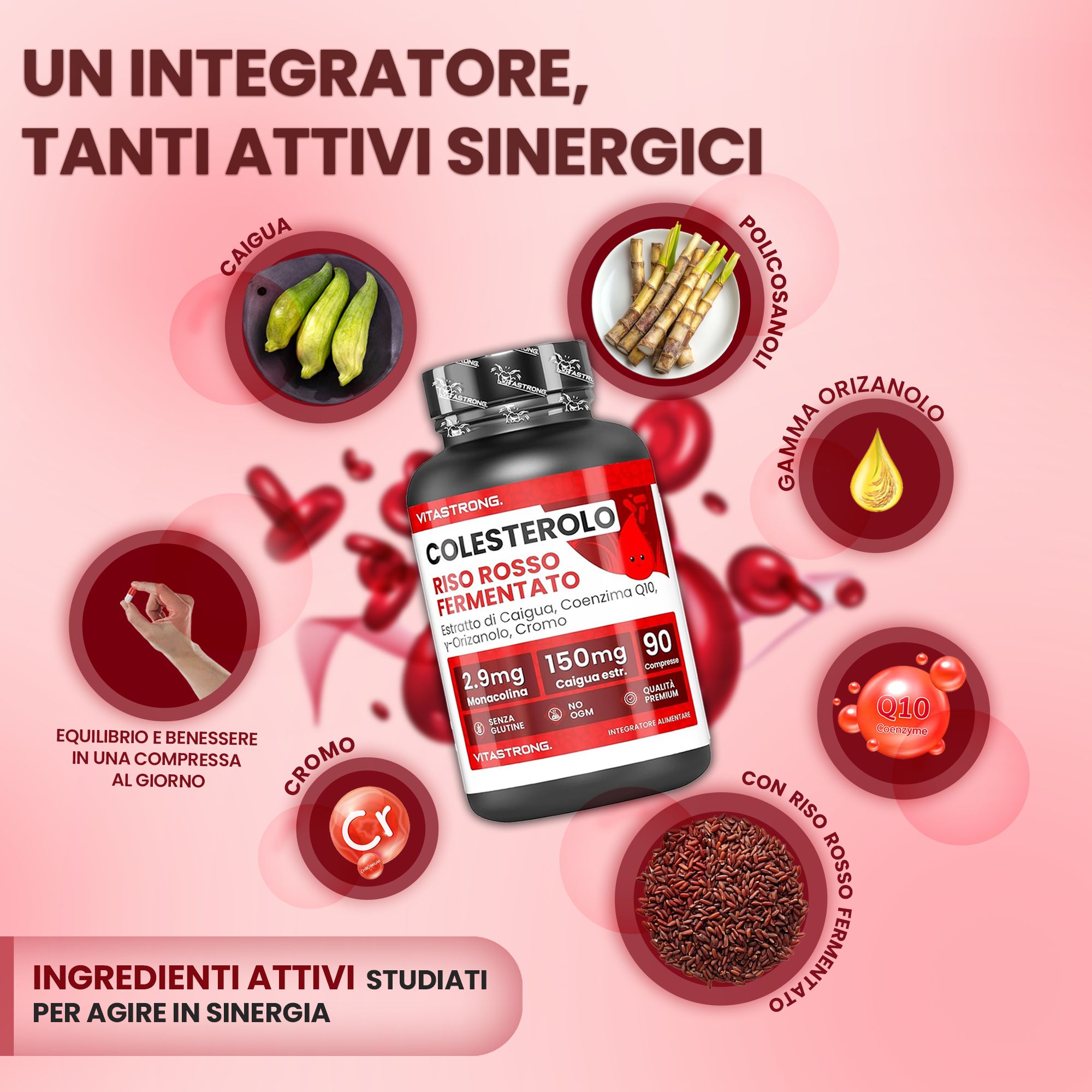 Vitastrong Cholesterin, 90 tabletten. Zwarte fles, rood etiket. Ingrediënten en symbolen.