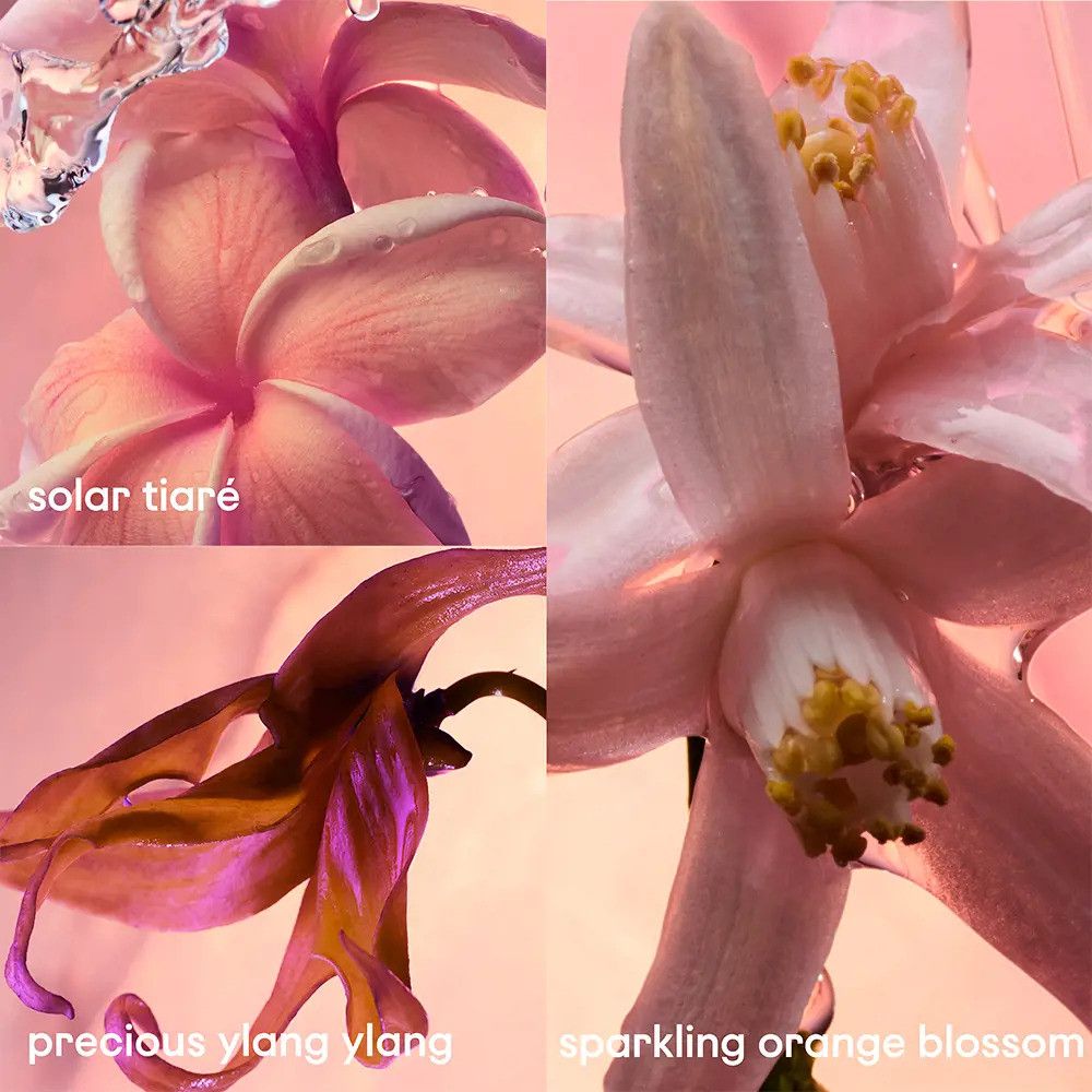 Bloemen van Solar Tiaré, kostbare Ylang-Ylang en sprankelende sinaasappelbloesem. Roze tinten.