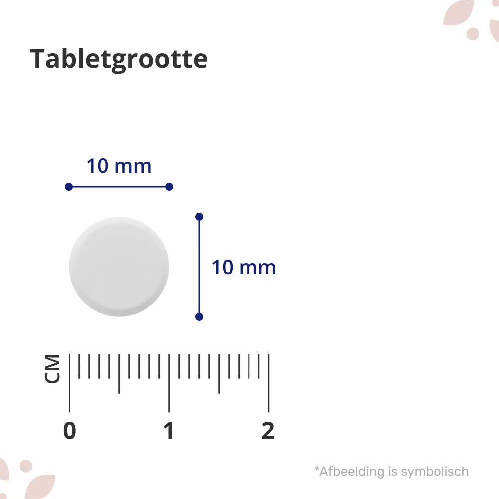 Fles met tekst: Ginkgo biloba met Siberische ginseng 6600 mg. 365 tabletten. Merk: HealthyWorld. Met tekst.