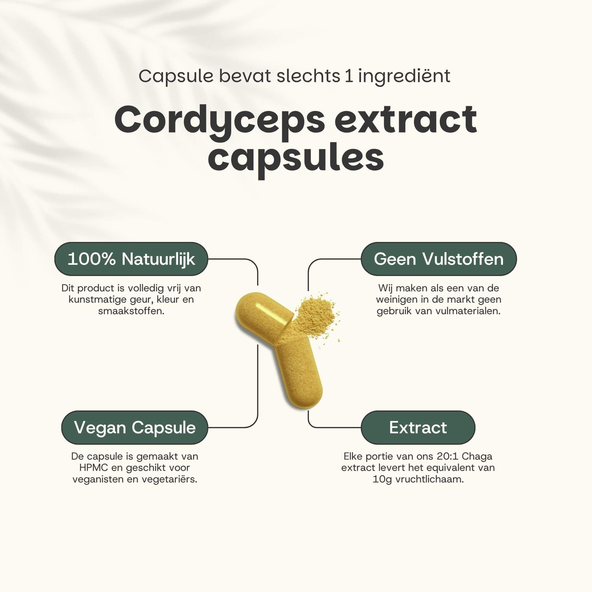 Capsule met Cordyceps extract. Tekst: Cordyceps-Extrakt-Kapseln. 100% natuurlijk. Geen vulstoffen. Vegan capsule. Extract.