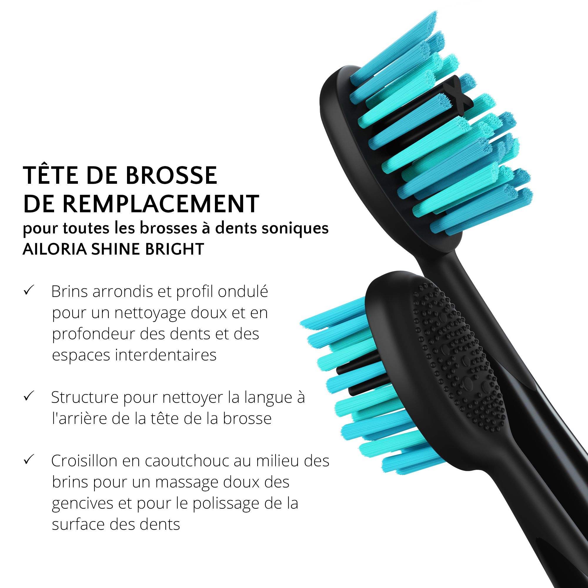 Deux têtes de brosse de remplacement noires avec des brins bleus. Texte: TÊTE DE BROSSE DE REMPLACEMENT pour AILORIA SHINE BRIGHT. Caractéristiques.