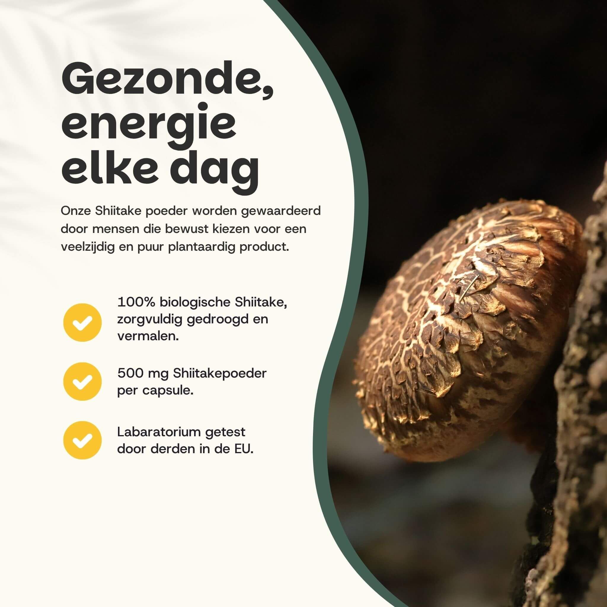 Close-up van een Shiitake-paddenstoel. Tekst: Gezond, energie elke dag. 100% biologische Shiitake, 500 mg.