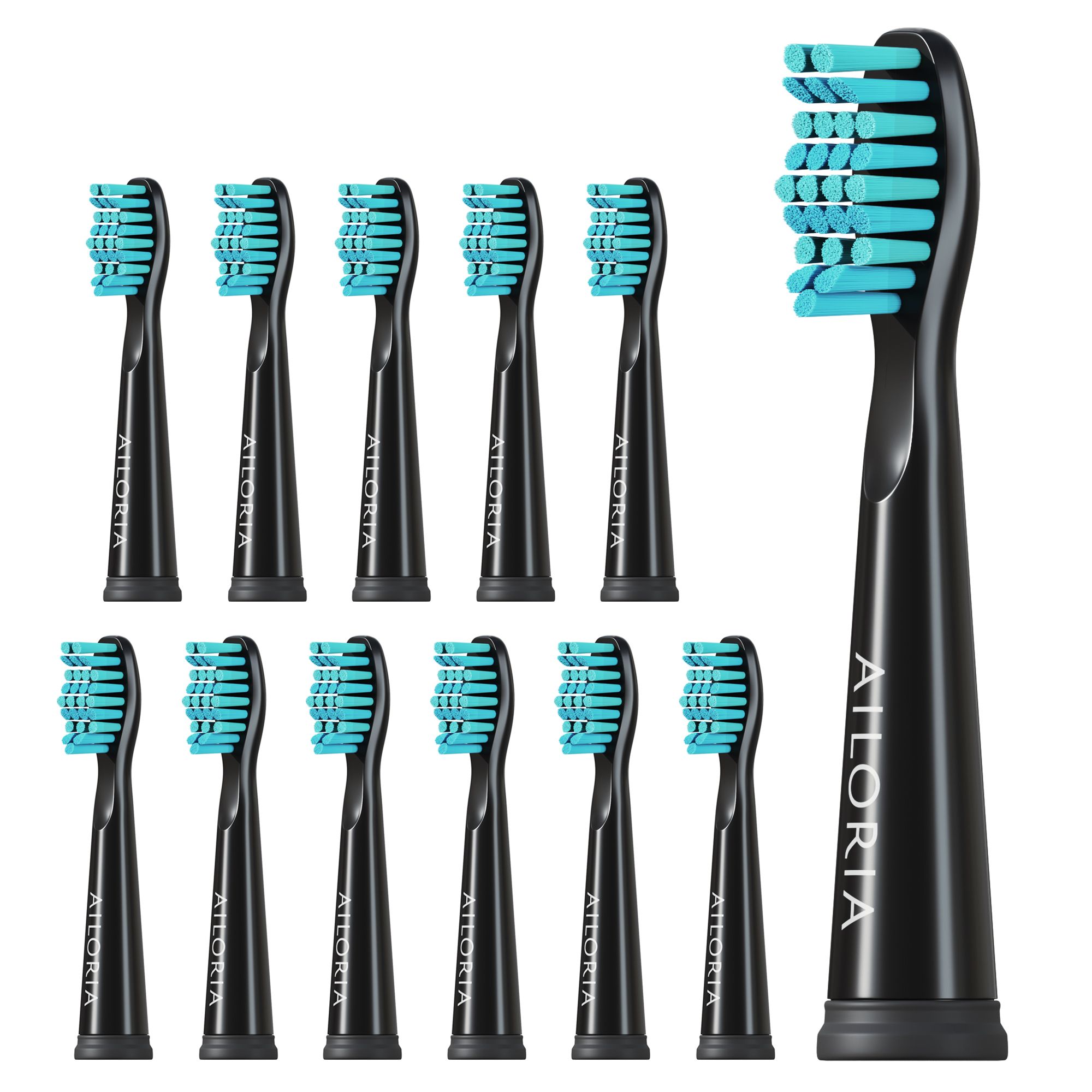 Têtes de brosse à dents noires avec soies turquoise. Logo AILORIA. 12 pièces. Disposées en rangée.