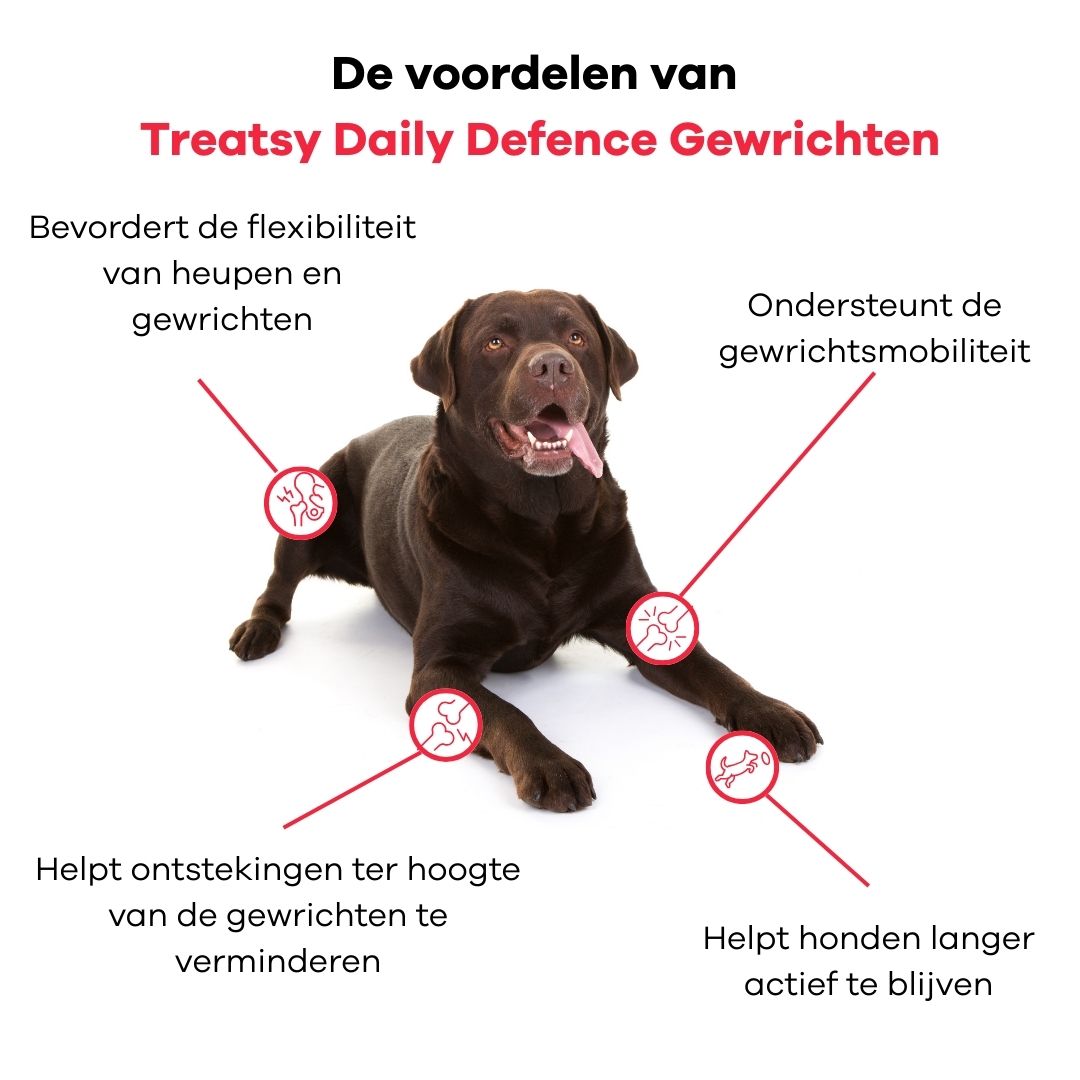 Bruine hond ligt. Grafieken tonen gewrichten. Tekst: Voordelen met Treatsy Daily Defence Gewrichten.