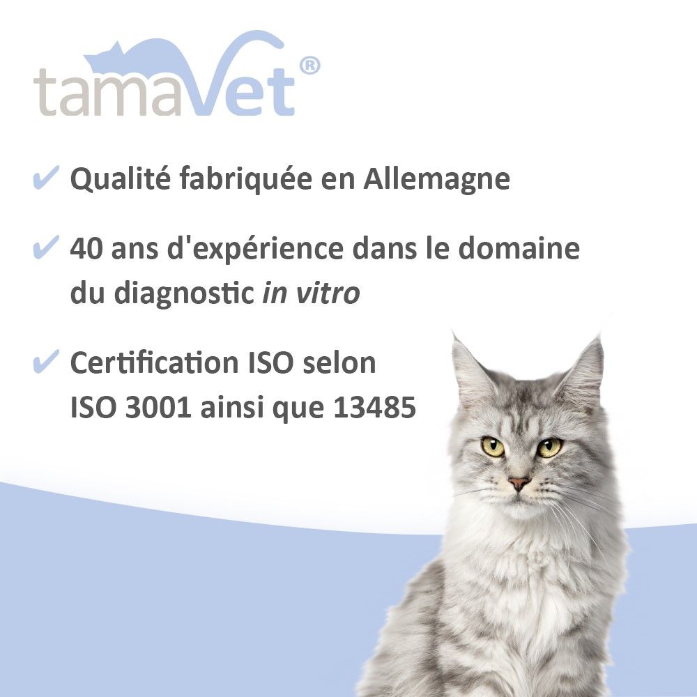 Chat assis. Texte : Qualité fabriquée en Allemagne, 40 ans d'expérience, certification ISO.