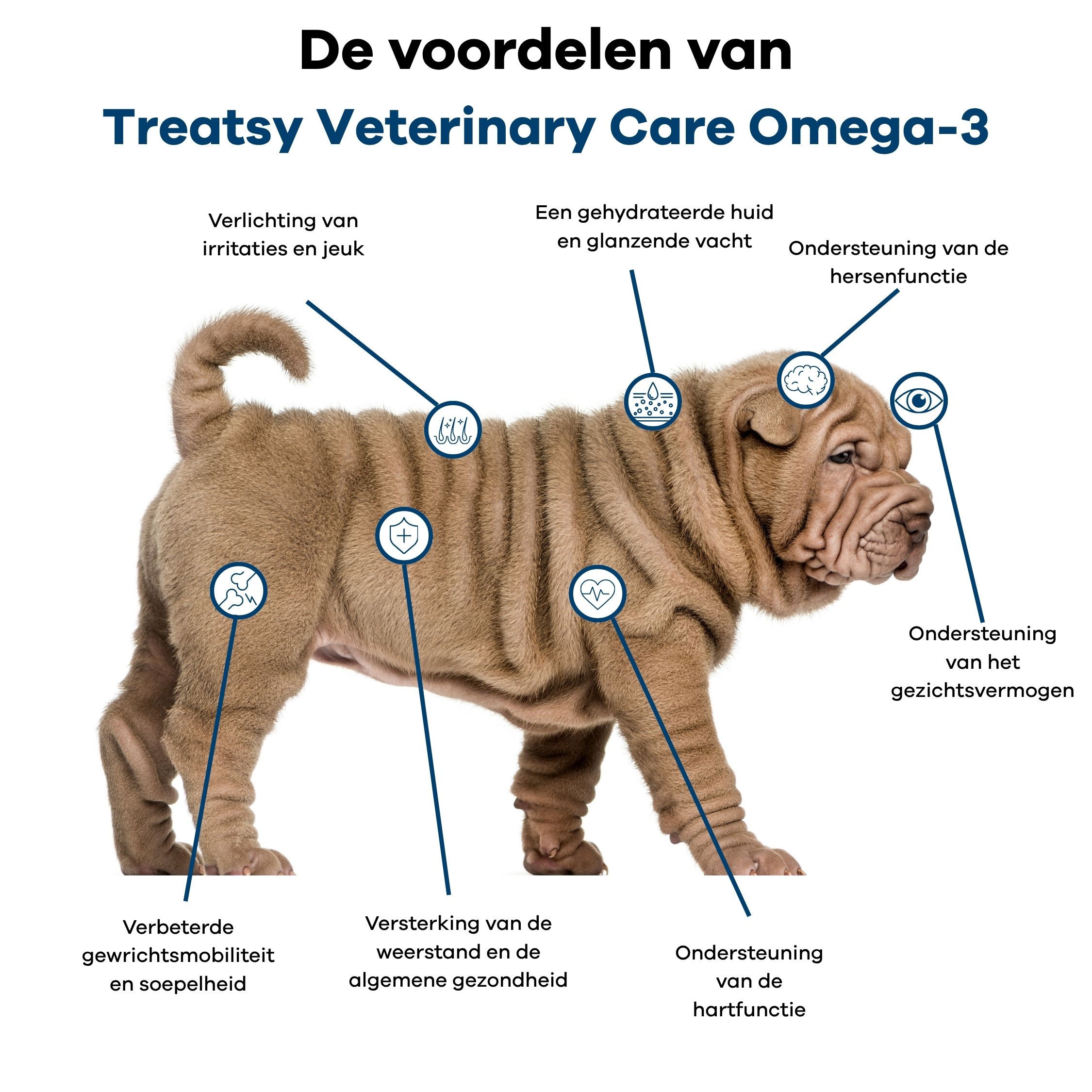 Pup met markeringen voor voordelen van Omega-3: hersenen, ogen, huid, immuniteit, hart, gewrichten.