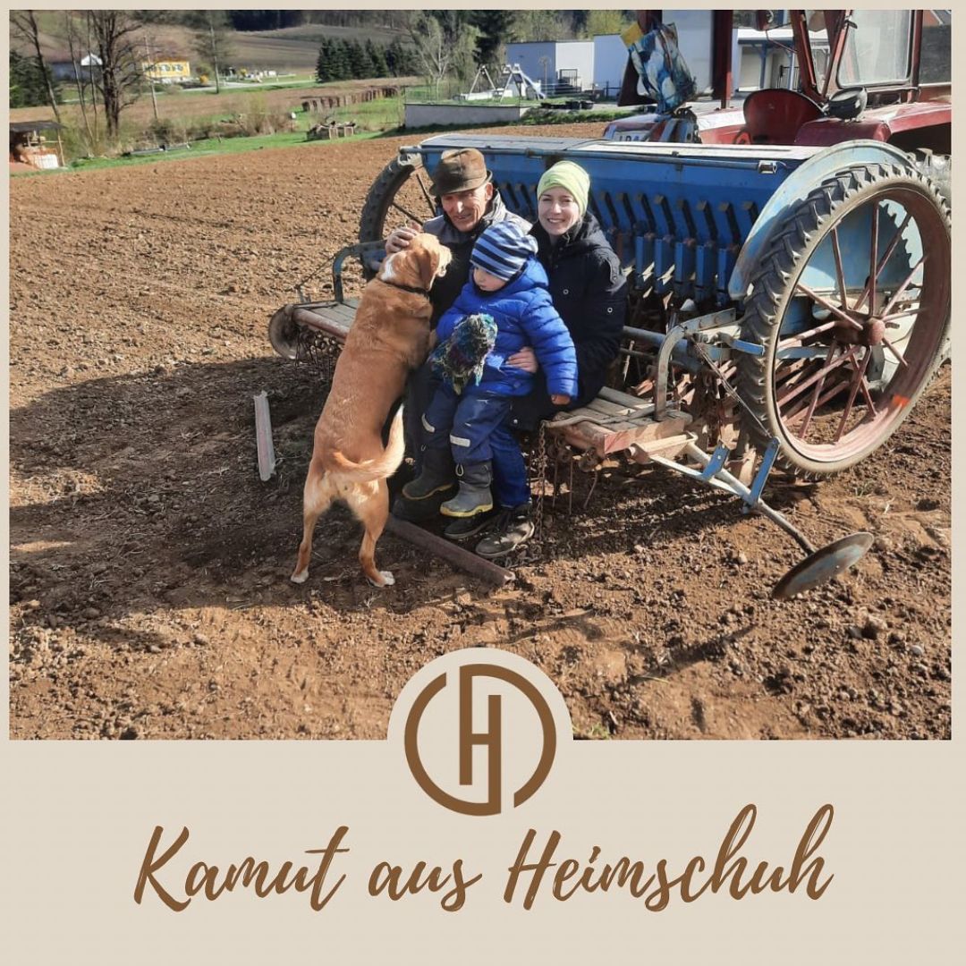Famille avec chien sur un tracteur. Au premier plan, l'inscription "Kamut aus Heimsuch".