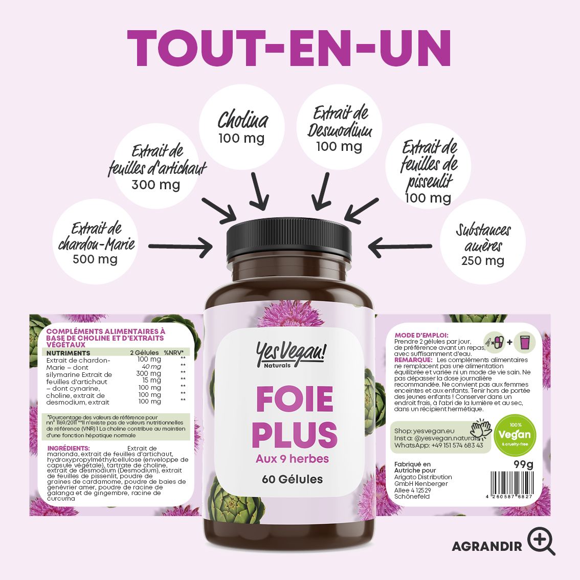 Bouteille 'Foie Plus' avec des flèches indiquant les ingrédients comme le chardon-marie (500mg) et la choline (100mg).