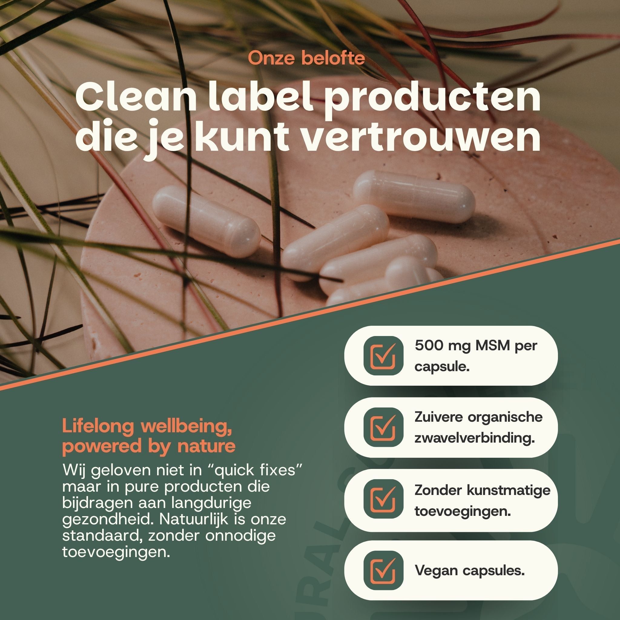 Belofte: Clean label producten. 500 mg MSM, zuivere zwavelverbinding, vegan.
