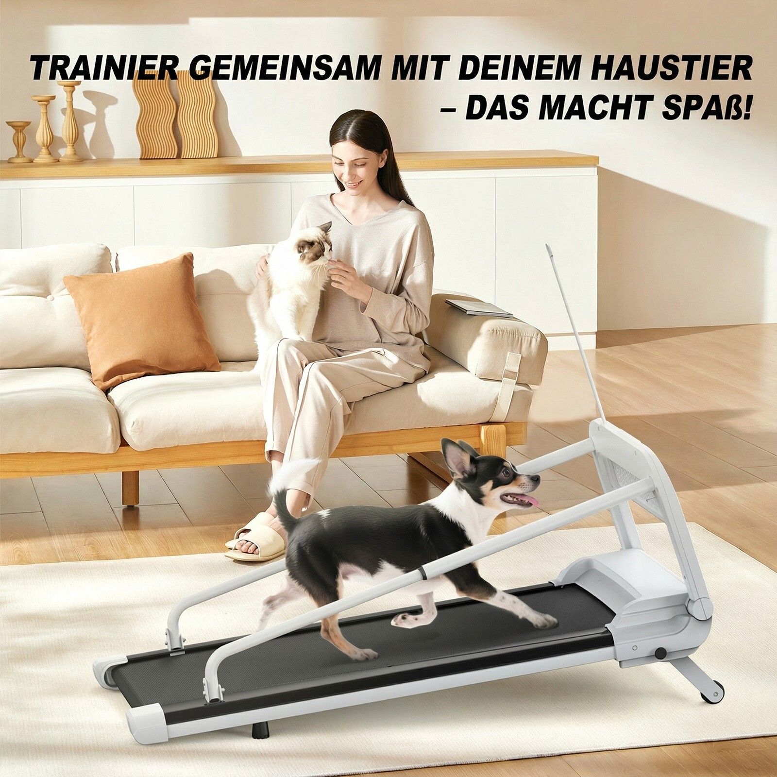 Hondentrainer met vrouw en hond. Wit frame, zwart loopvlak. Vrouw zit op bank met kat.