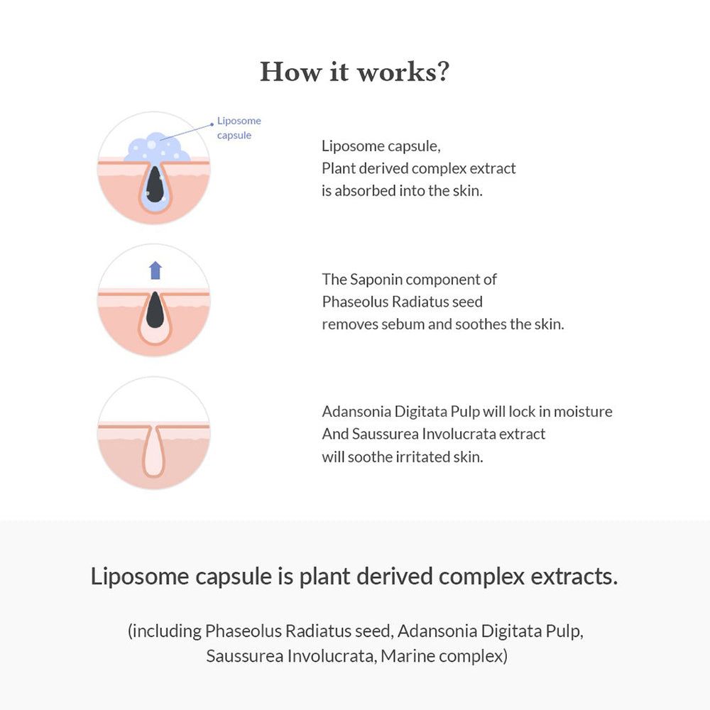 Illustratie die de werking van liposoomcapsules en plantaardige extracten op de huid uitlegt.