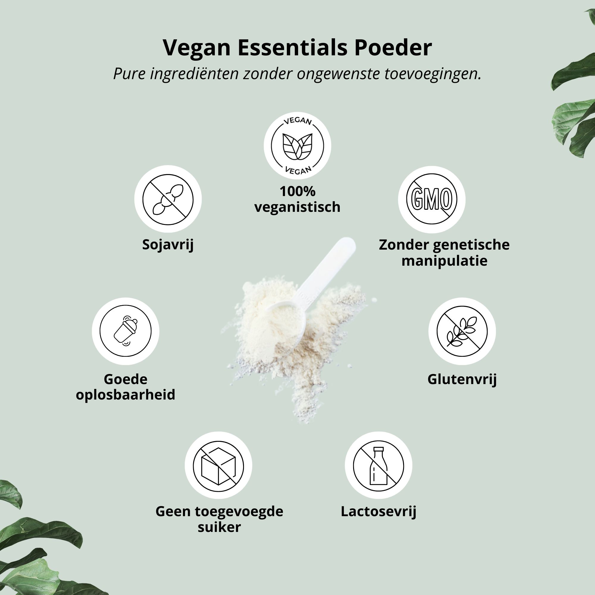 Nutri+ Vegan Essentials Poeder: Framboos Drakenfruit Smaak. Pot met poeder, frambozen en drakenfruitplak.