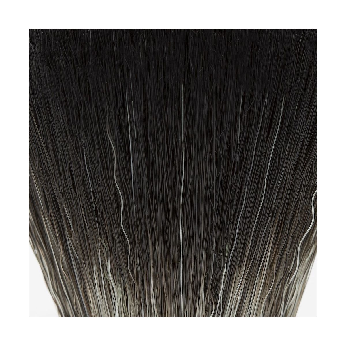 Zwarte en grijze borstelharen. Detailopname. Kleurverloop.