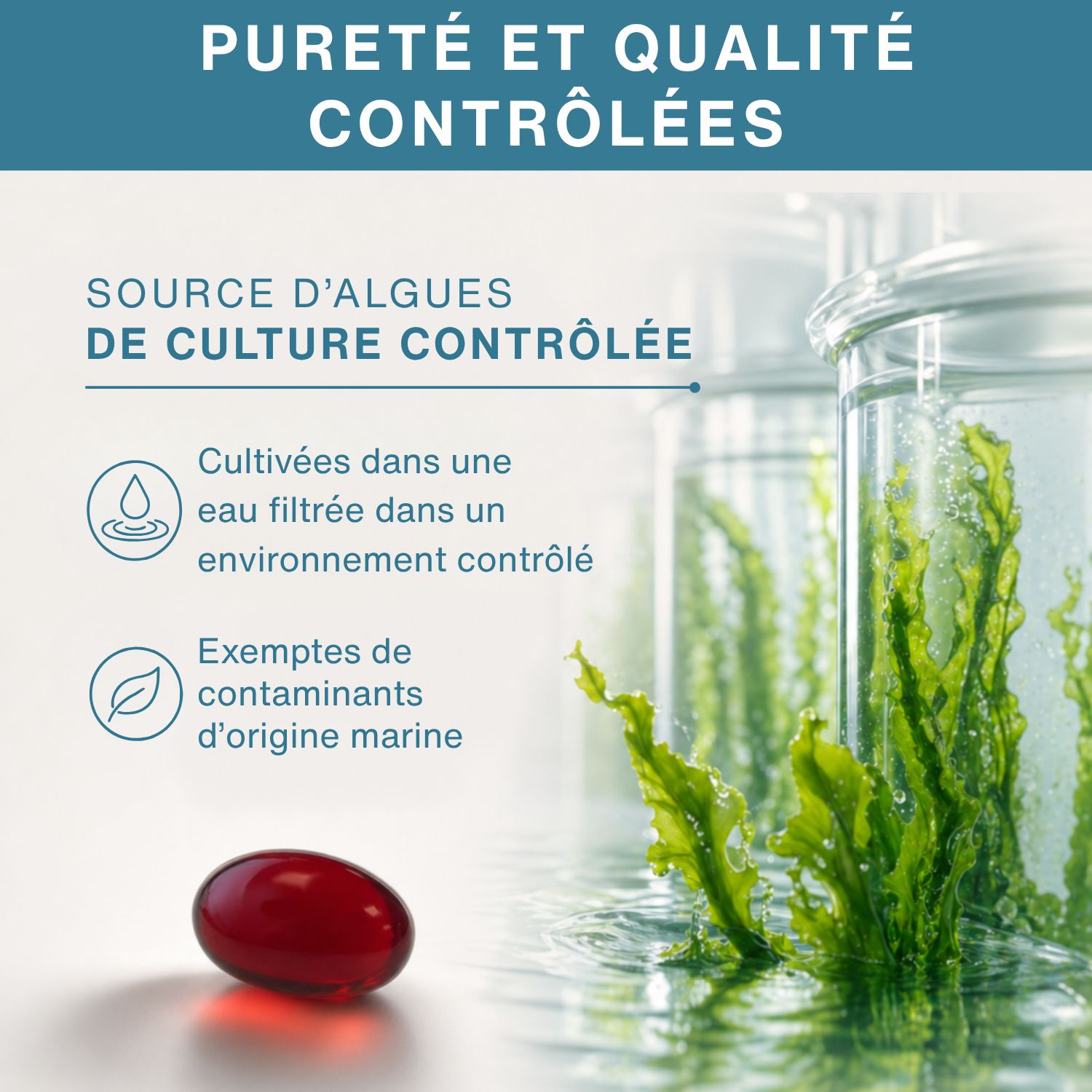 Gélule rouge à côté d'algues dans des récipients de laboratoire, montrant une pureté et une qualité contrôlées.