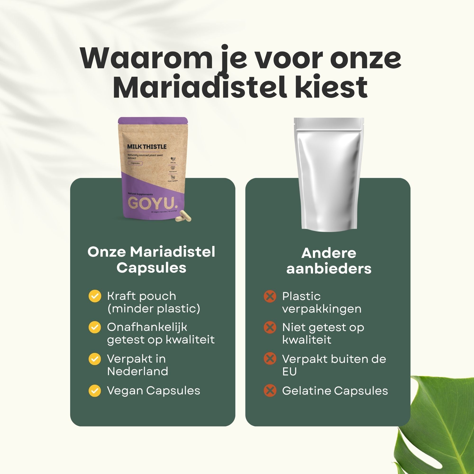 100% natuurlijke mariadistel capsules. 500 mg, vegan, 1 maand dosering, brievenbusverpakking.
