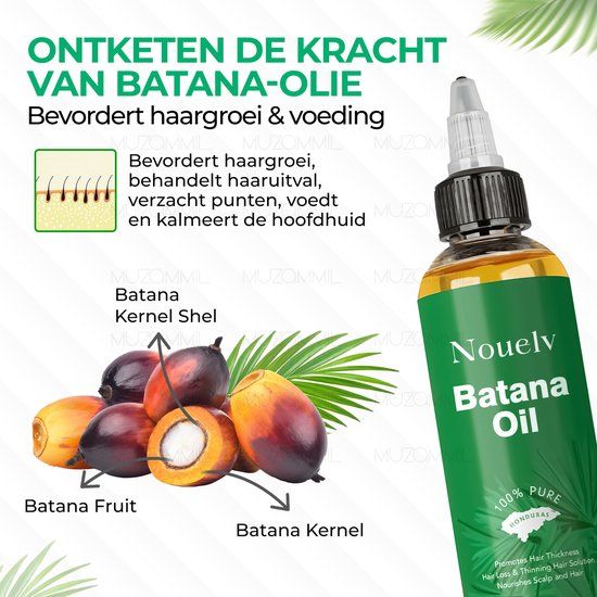 Nouelv Batana Oil - 100% Puur & Natuurlijke Haarolie tegen Haaruitval - Dermatologisch Getest