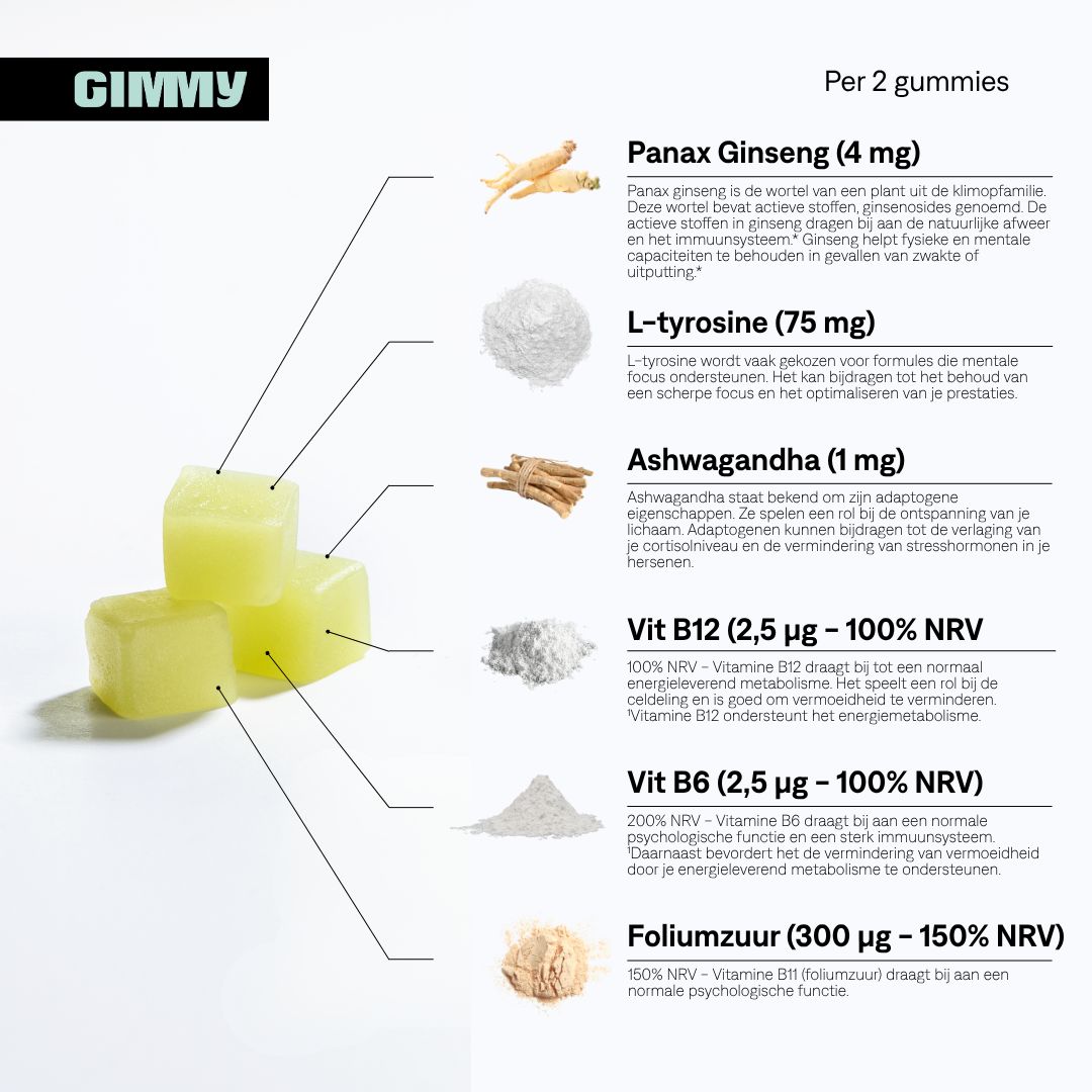 Infographic met GIMMY-logo en tekst. Toont ingrediënten per 2 gummies, zoals Panax Ginseng, L-Tyrosine, Ashwagandha.
