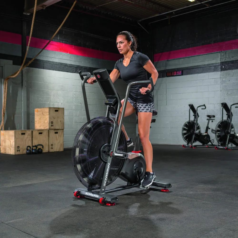 Schwinn Fitness AD8i