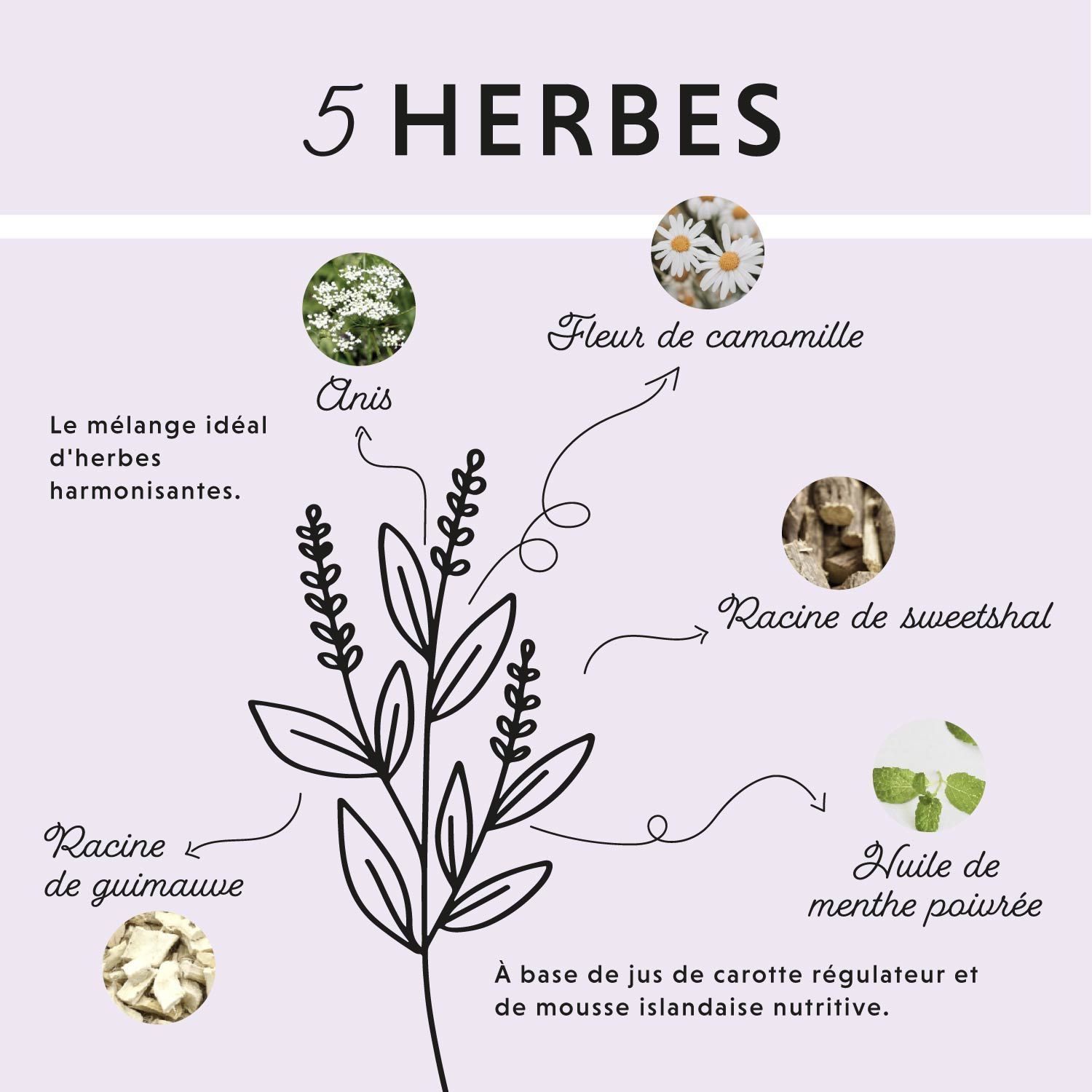 Chevaux dans l'herbe. Texte: Recommandations alimentaires. Flacon 1000 ml. Logo cheval. Fabriqué en Allemagne.