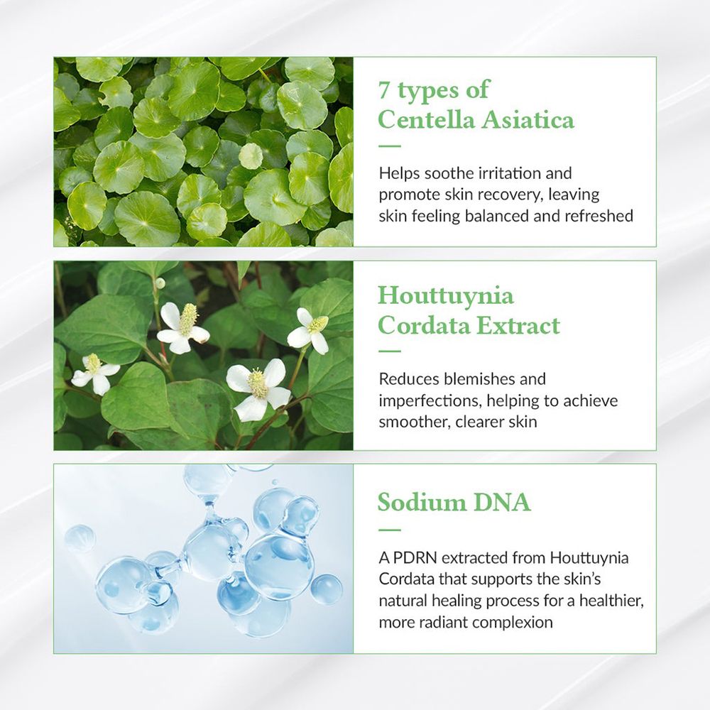 Ingrédients de la protection solaire : 7 types de Centella Asiatica, extrait de Houttuynia Cordata, Sodium DNA.
