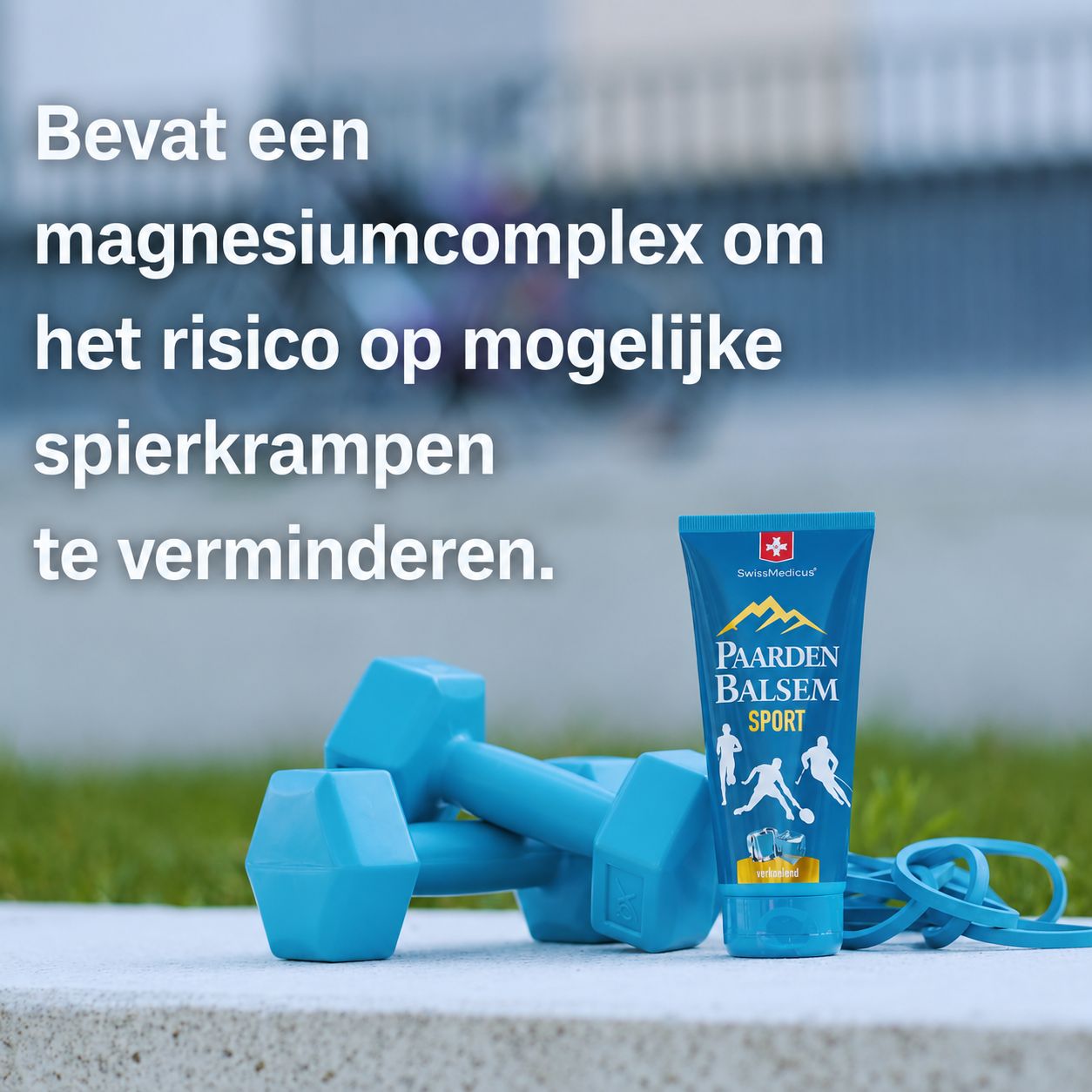 Blauwe dumbbells en een tube Paarden Balsem Sport op een stenen ondergrond.