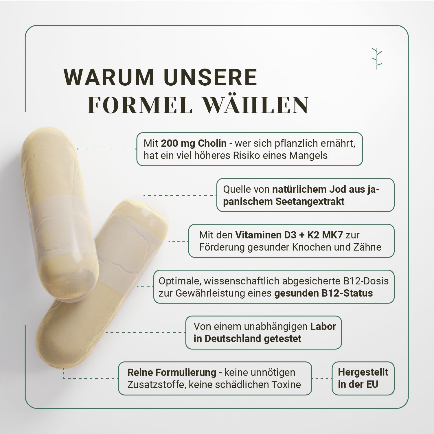 Twee gele capsules. Tekst: Waarom onze formule kiezen. Bevat choline, jodium, vitamine D3 + K2 MK7, B12. Geproduceerd in de EU.