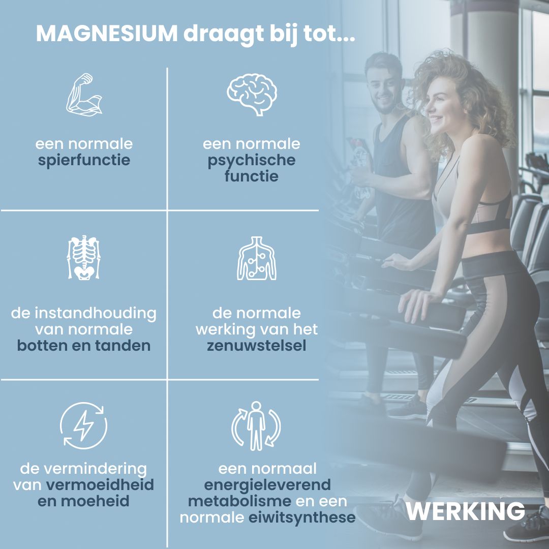 Koppel op loopbanden, iconen met tekst over de werking van magnesium.