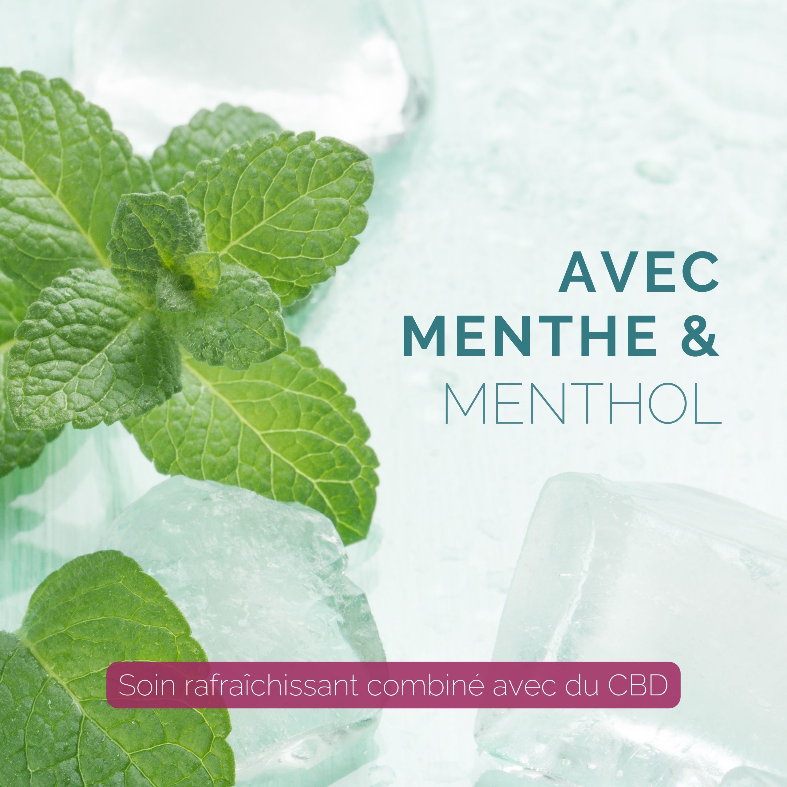 Menthe et glaçons. Texte : AVEC MENTHE & MENTHOL. Soin rafraîchissant.
