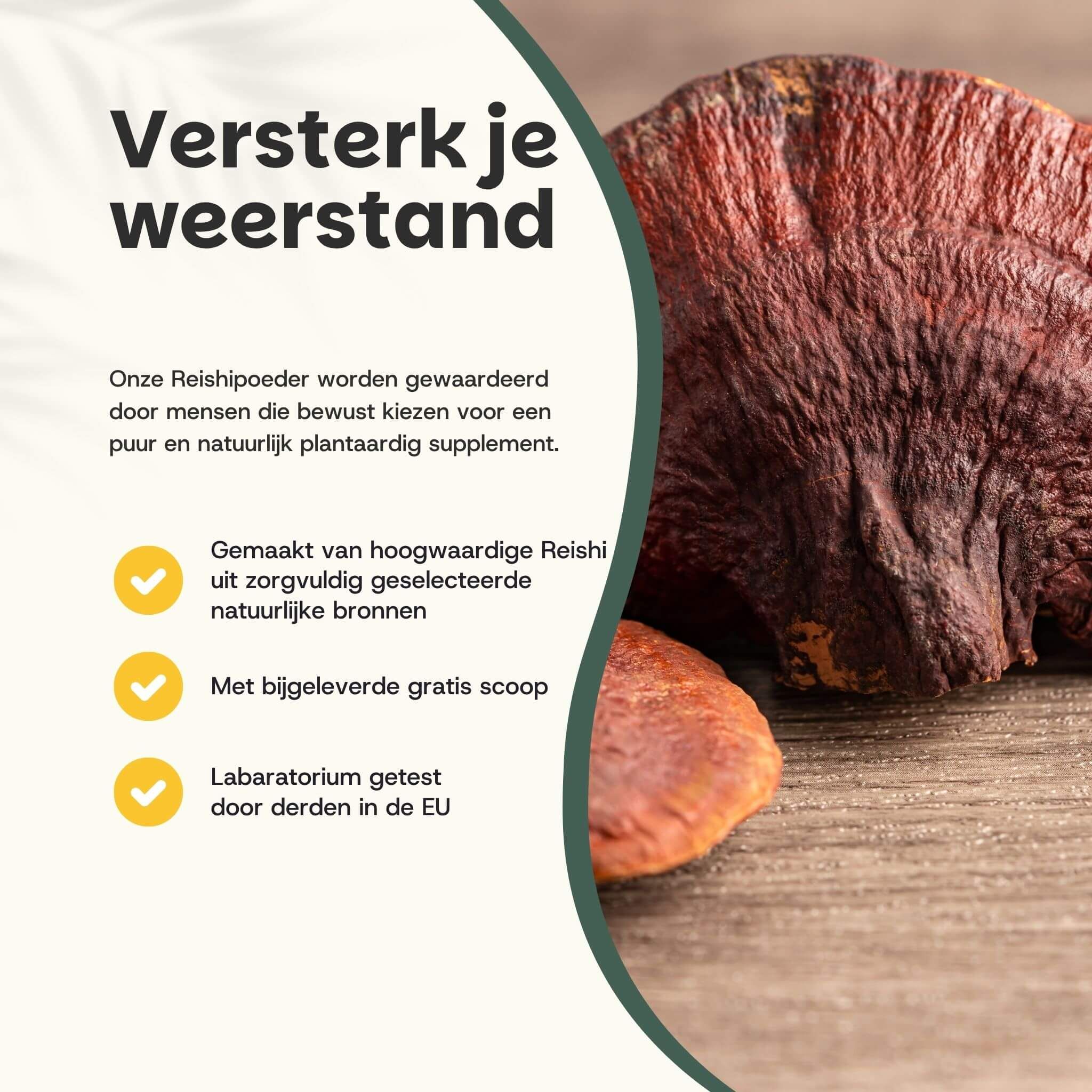 Tekst: Versterk je weerstand. Reishi poeder van hoogwaardige bronnen. Inclusief maatlepel. Laboratorium getest in de EU.