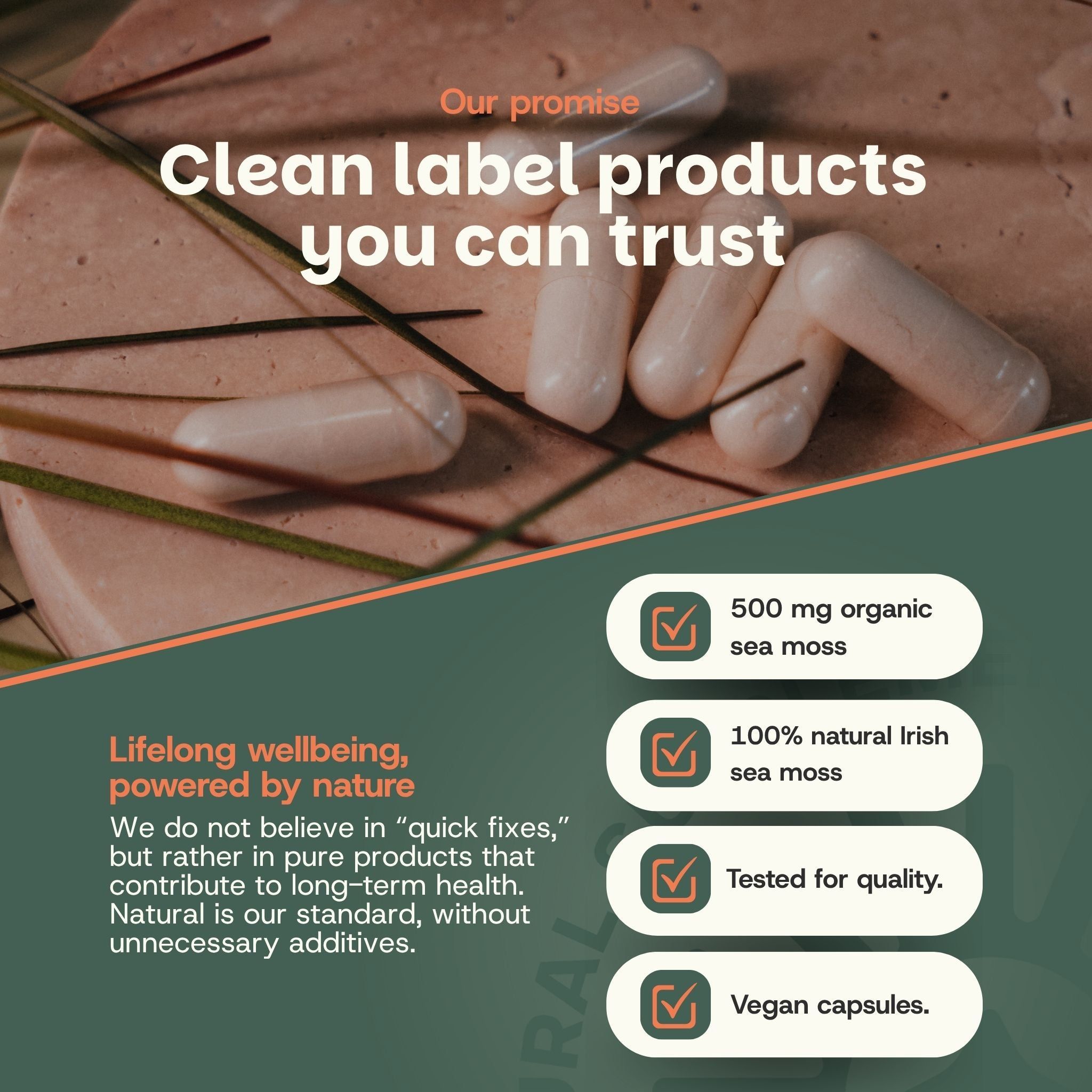 Trois gélules avec le texte "Clean label products you can trust". Détails : 500 mg d'algue bio, 100% algue irlandaise naturelle, testé pour la qualité, gélules vegan.