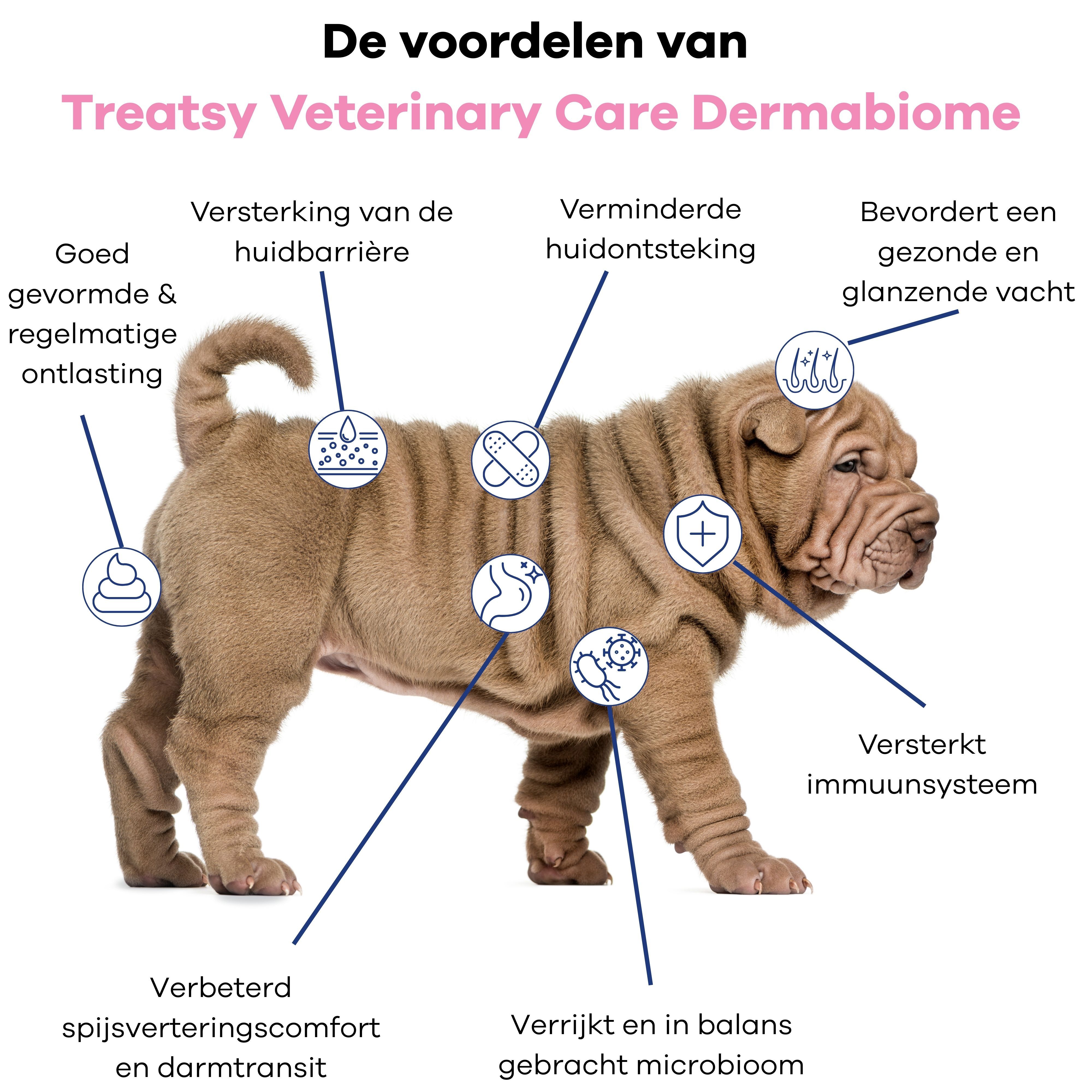 Treatsy Dermabiome – Voedingssupplement tegen allergieën, jeuk & immuniteit voor honden