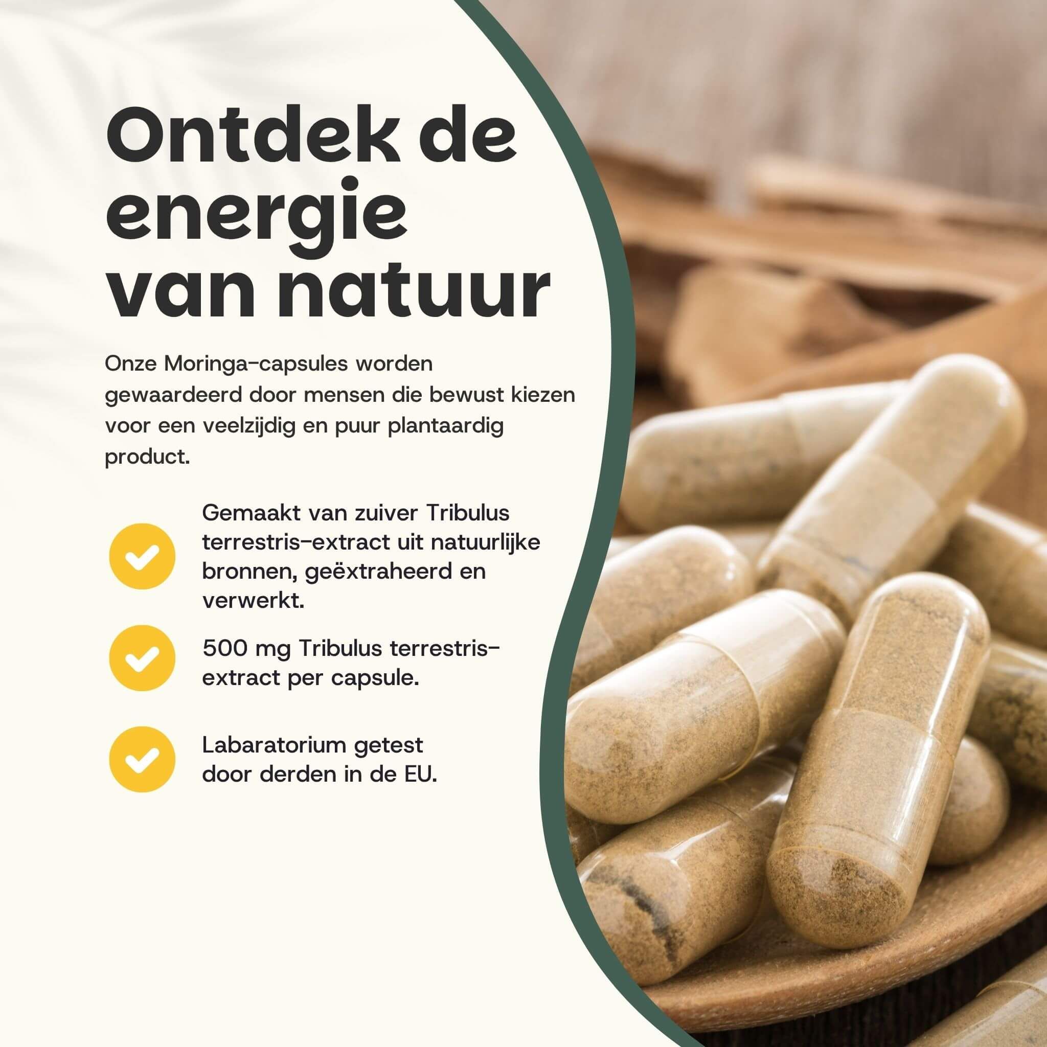 Capsules op een lepel. Tekst: Ontdek de energie van de natuur. 500 mg Tribulus Terrestris extract per capsule.