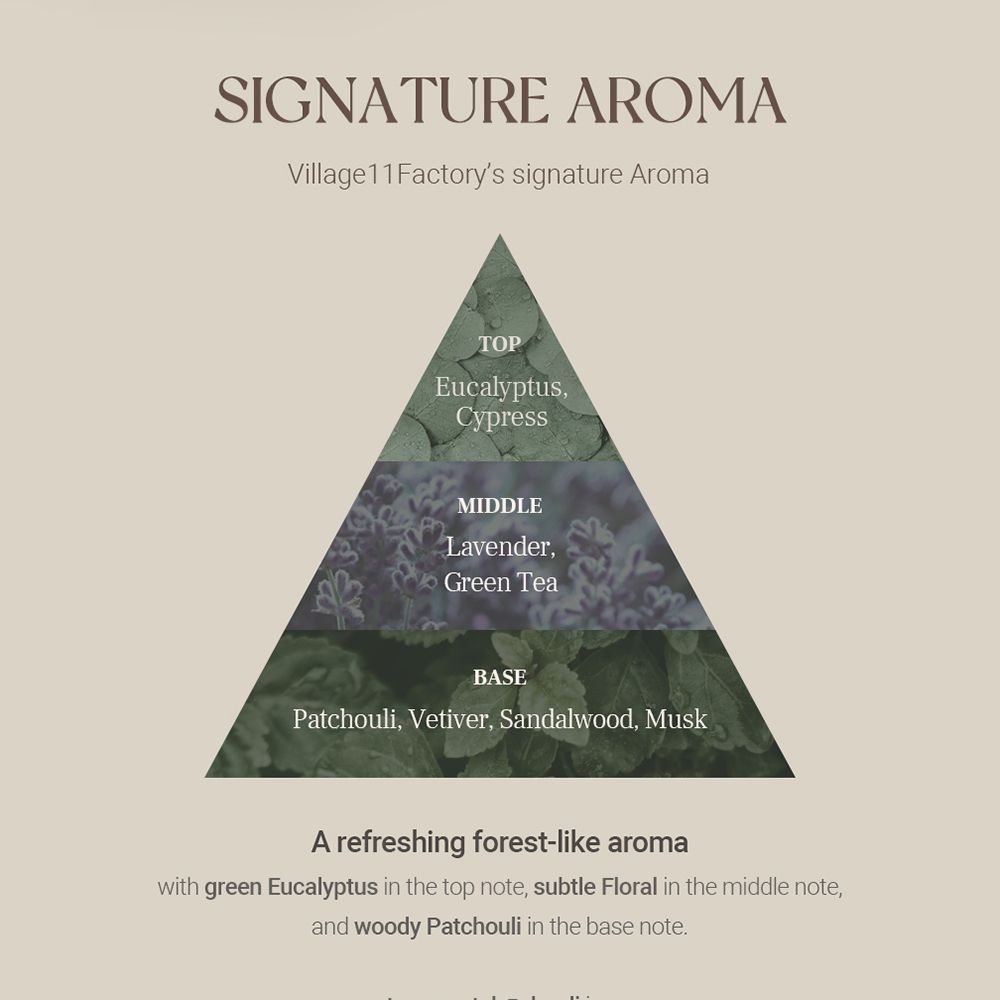 Piramidevormige grafiek. Tekst: Signature Aroma. Ingrediënten: Eucalyptus, Cipres, Lavendel, Groene thee, Patchouli.