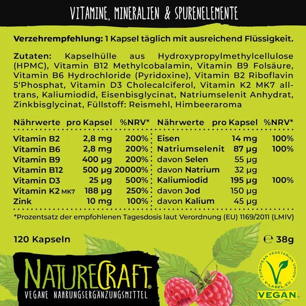 Vue détaillée de la liste des ingrédients de NatureCraft Vegan All-In-One. Contient vitamines, minéraux et oligo-éléments. 120 gélules.