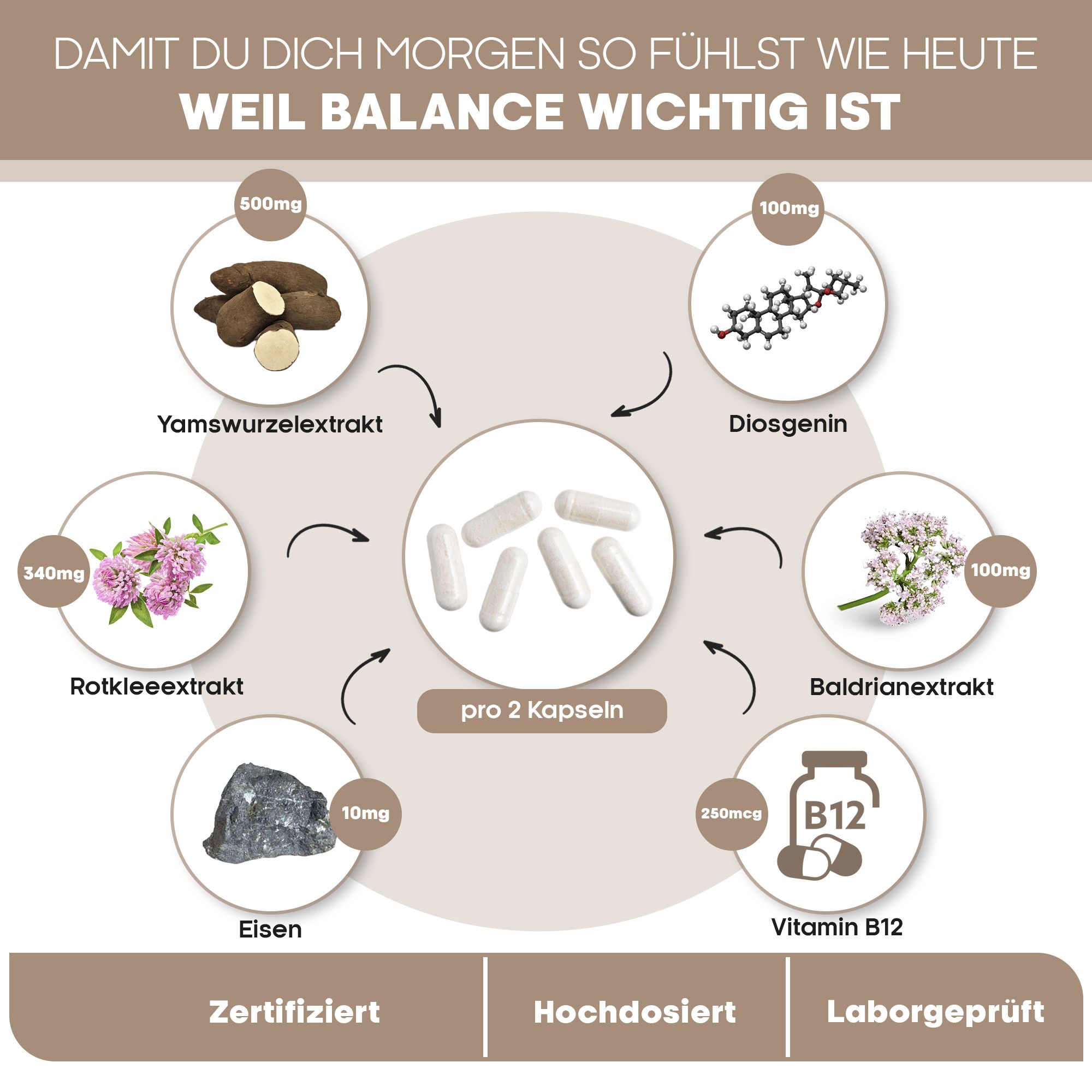 Ingrédients Meno Balance+ : igname, diosgénine, trèfle rouge, valériane, fer, vitamine B12.