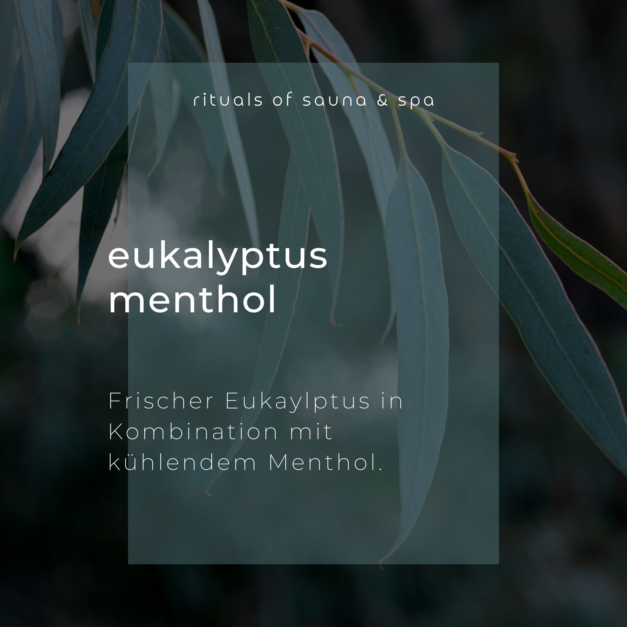 Texte sur fond vert : Eukalyptus Menthol. Eucalyptus frais combiné à la menthe rafraîchissante. Rituals of sauna & spa.